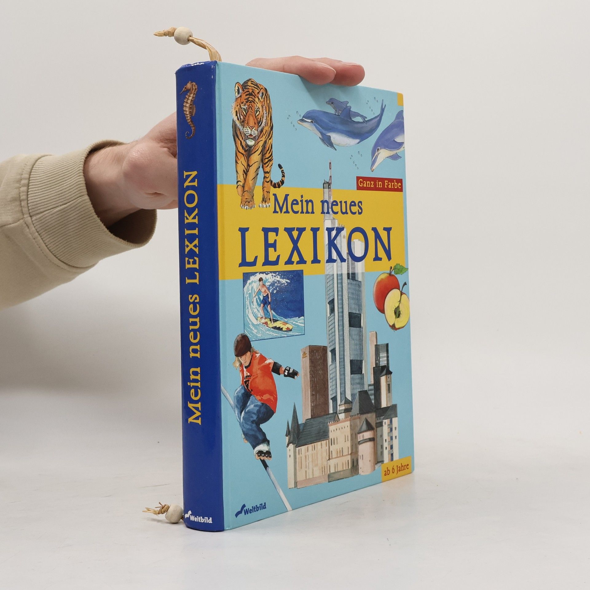 Heidemarie Brosche Mein neues Lexikon