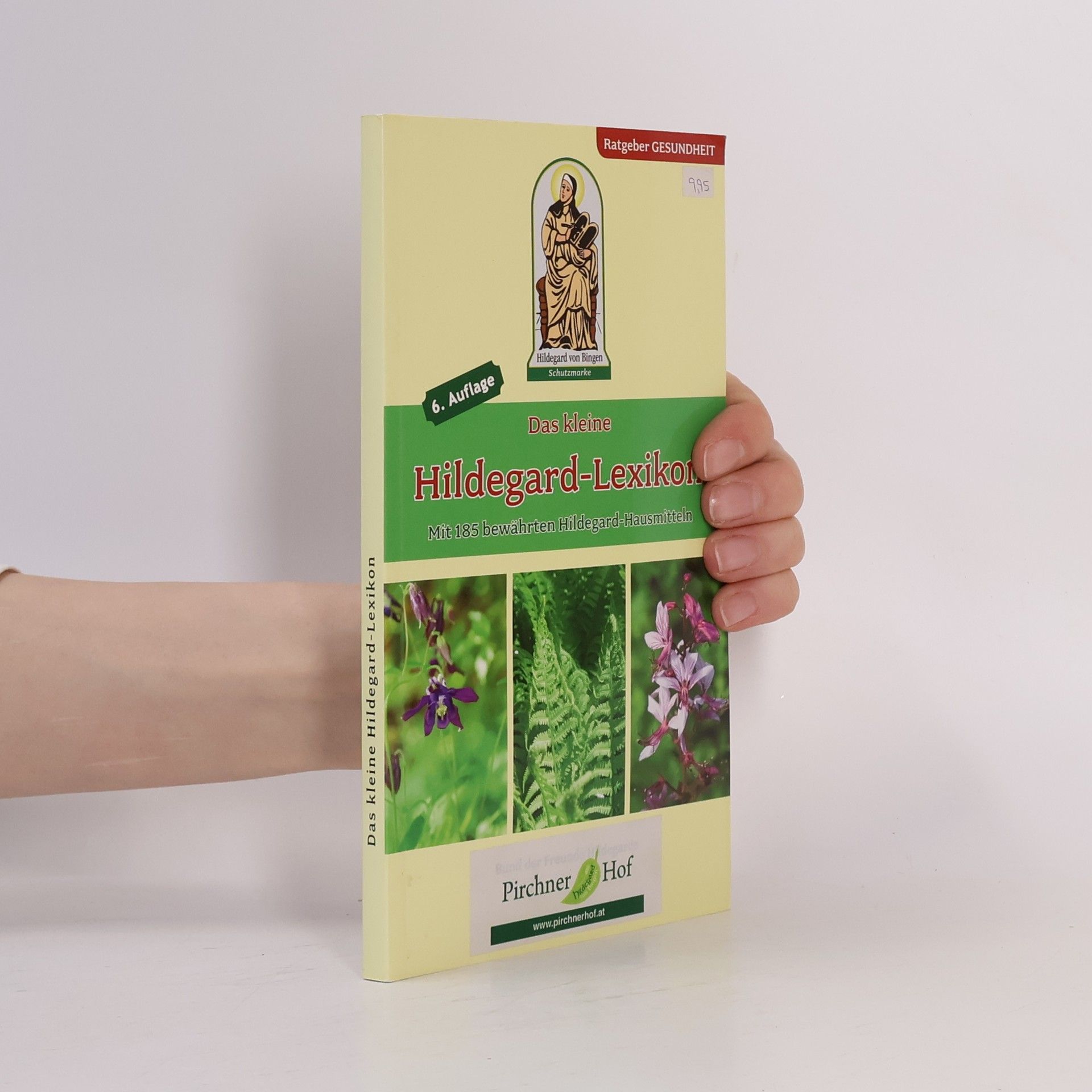 Autorenkollektiv Kleines Hildegard-Lexikon