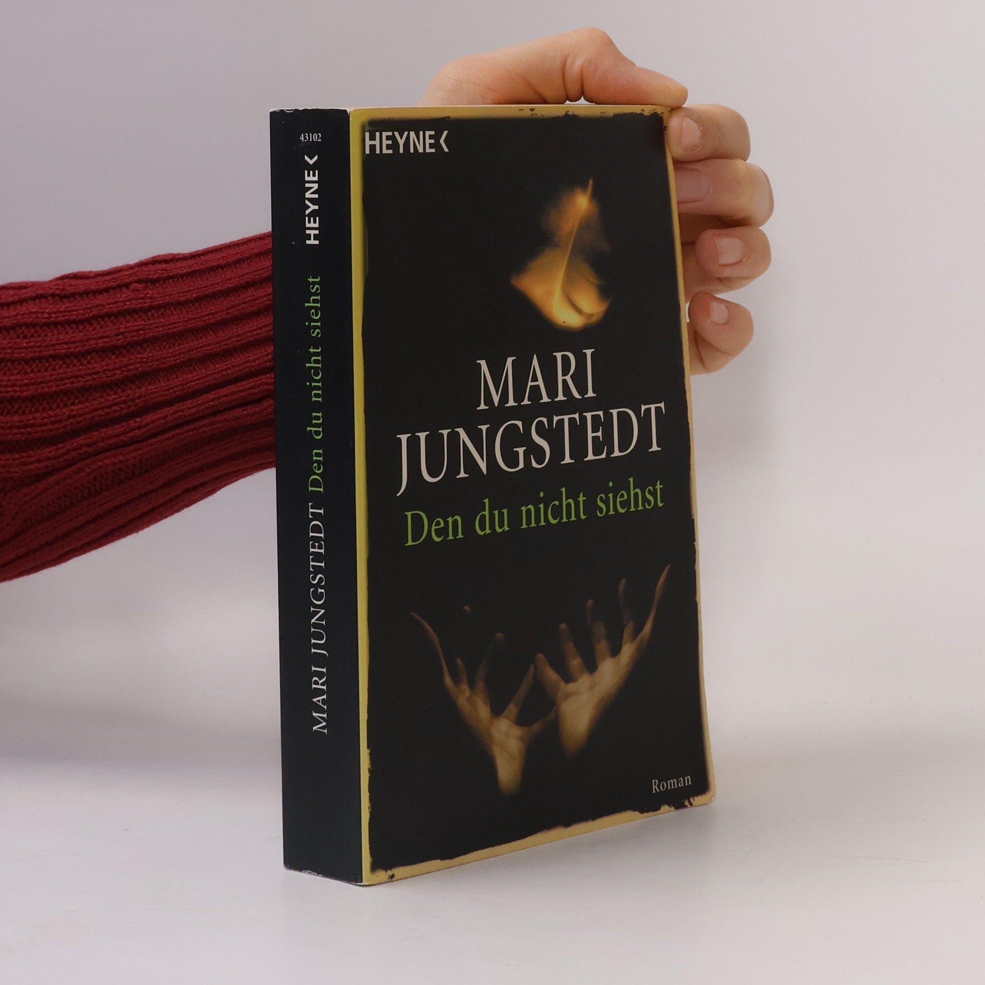 Mari Jungstedt Den du nicht siehst
