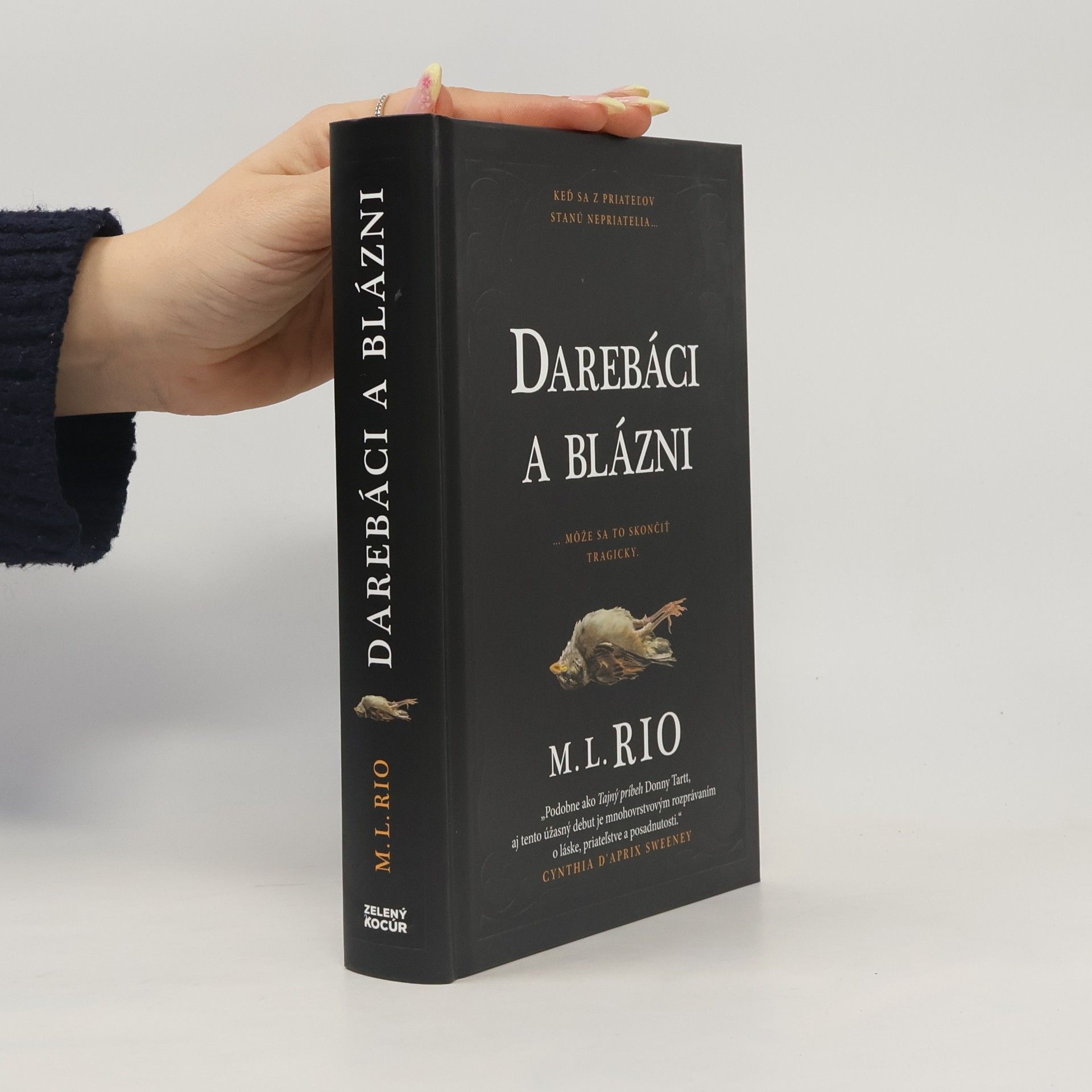 M. L. Rio Darebáci a blázni