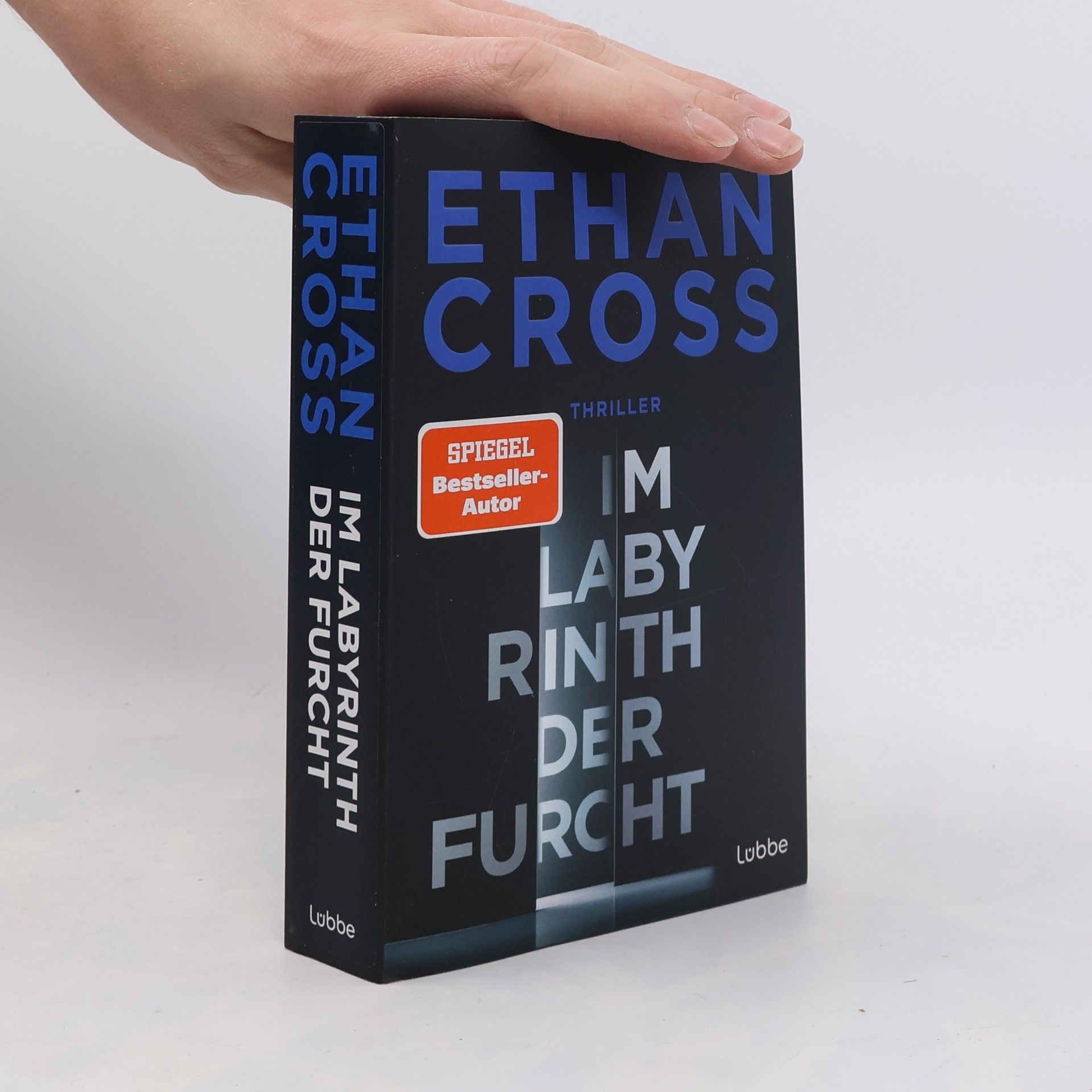 Ethan Cross Im Labyrinth der Furcht