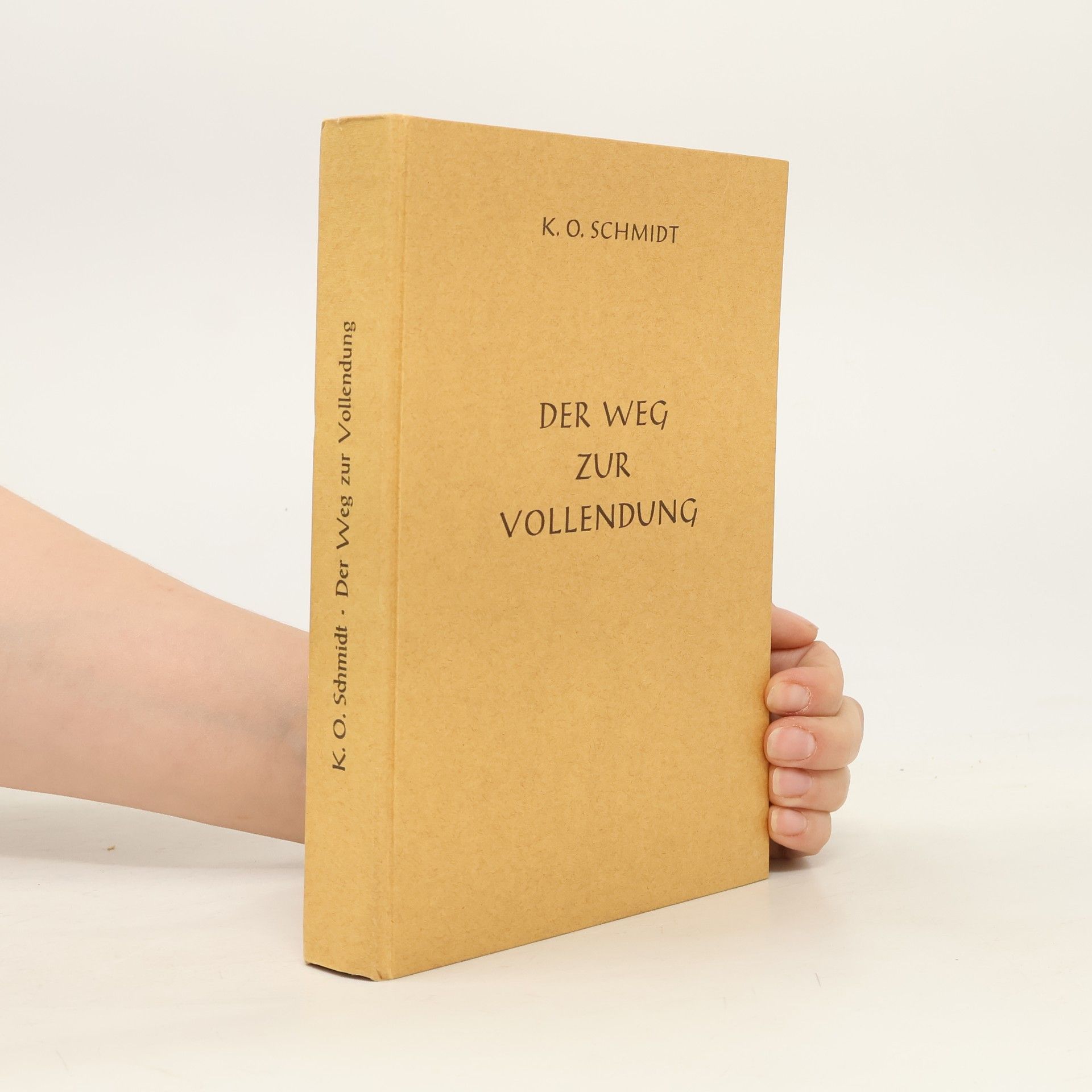 Karl Otto Schmidt Der Weg zur Vollendung durch Meditation und Kontemplation