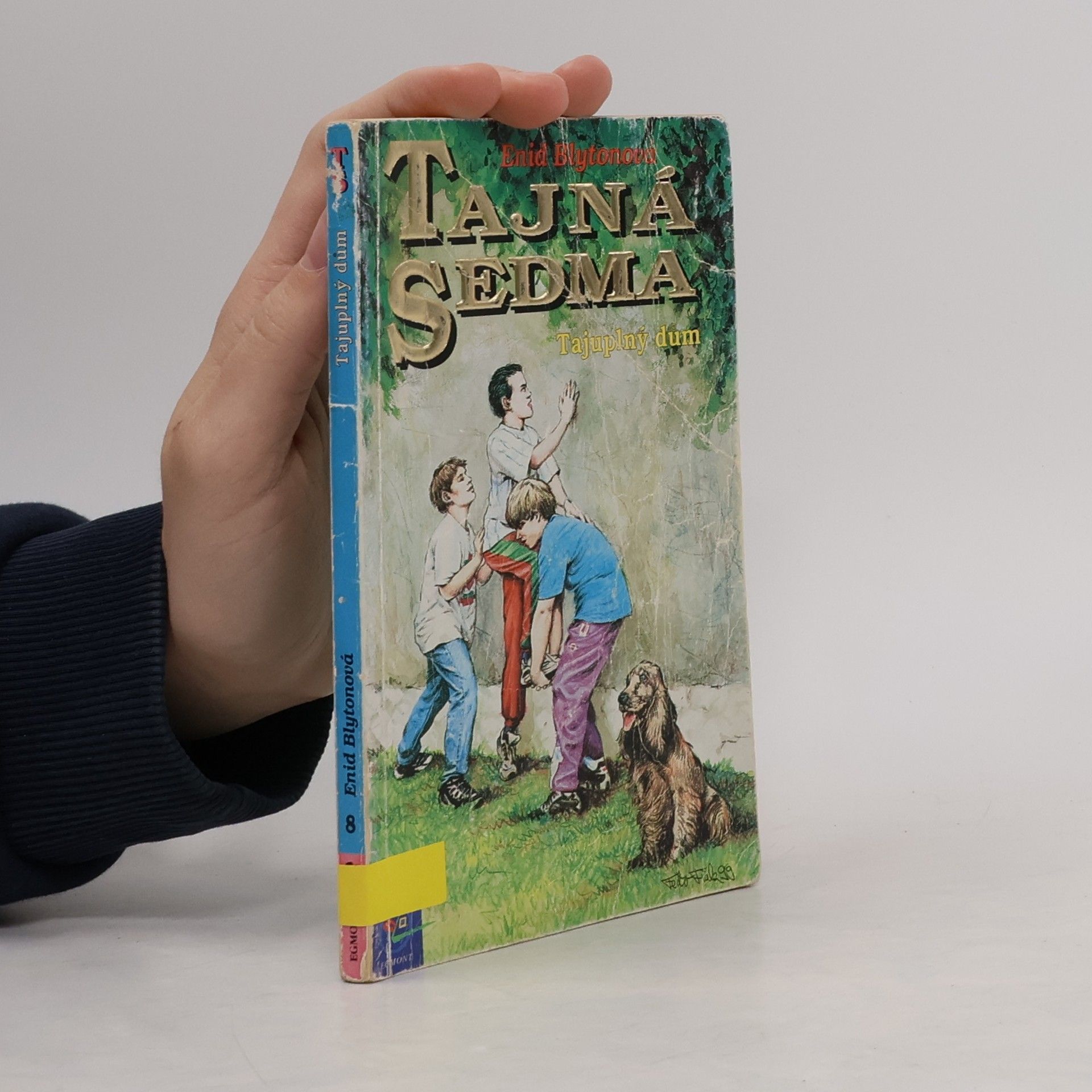 Enid Blyton Tajná sedma. Tajuplný dům
