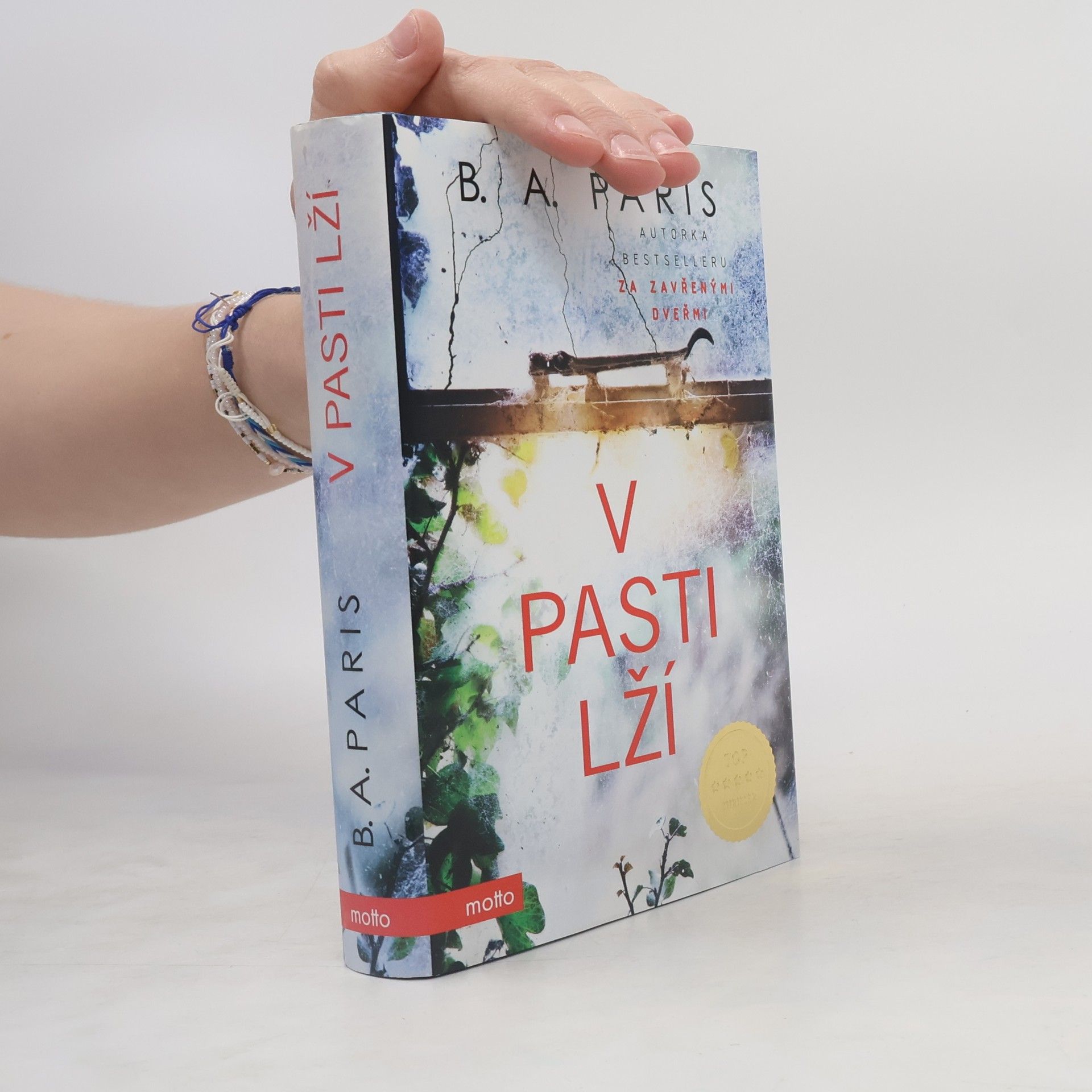 B.A. Paris V pasti lží