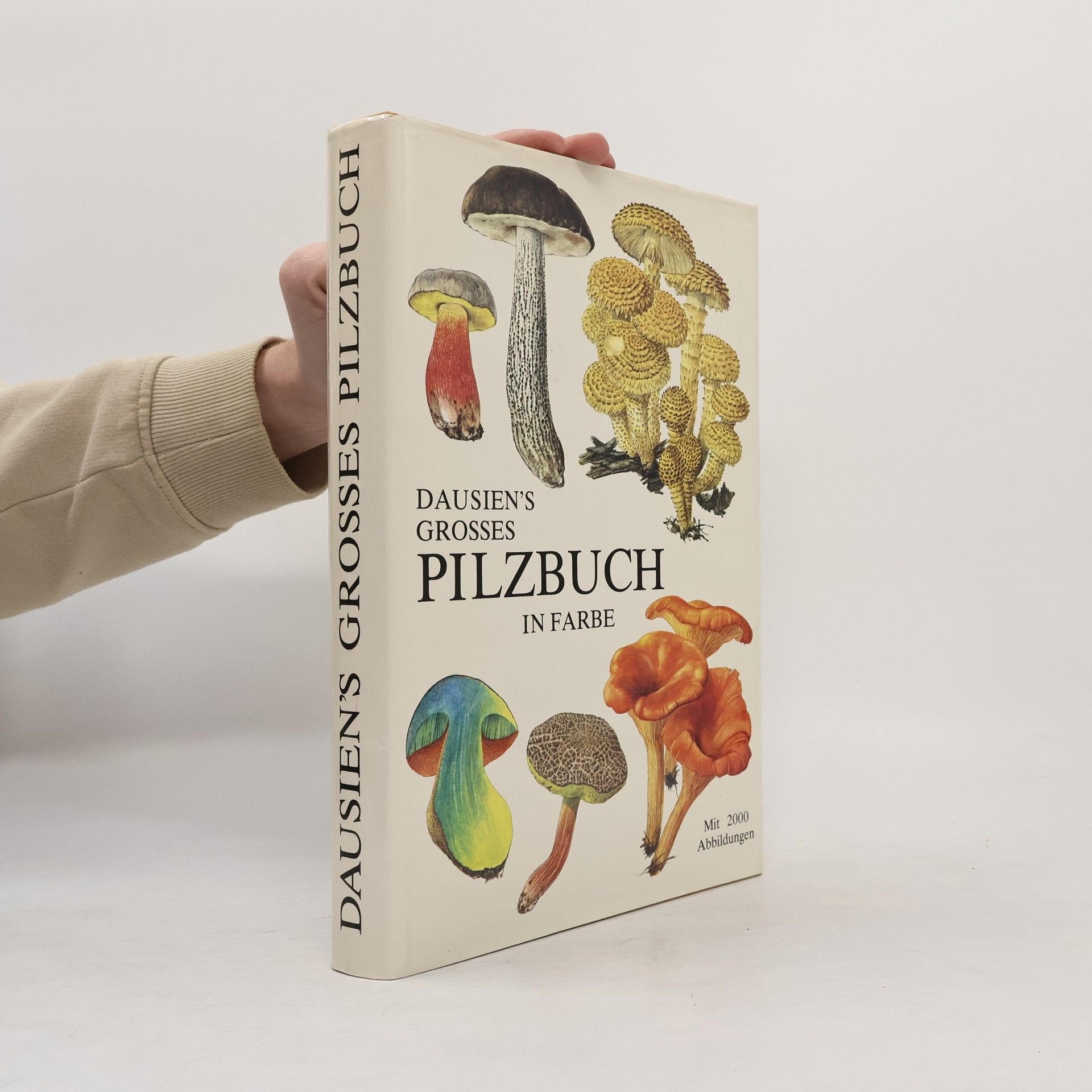 Dausien's grosses Pilzbuch in Farbe