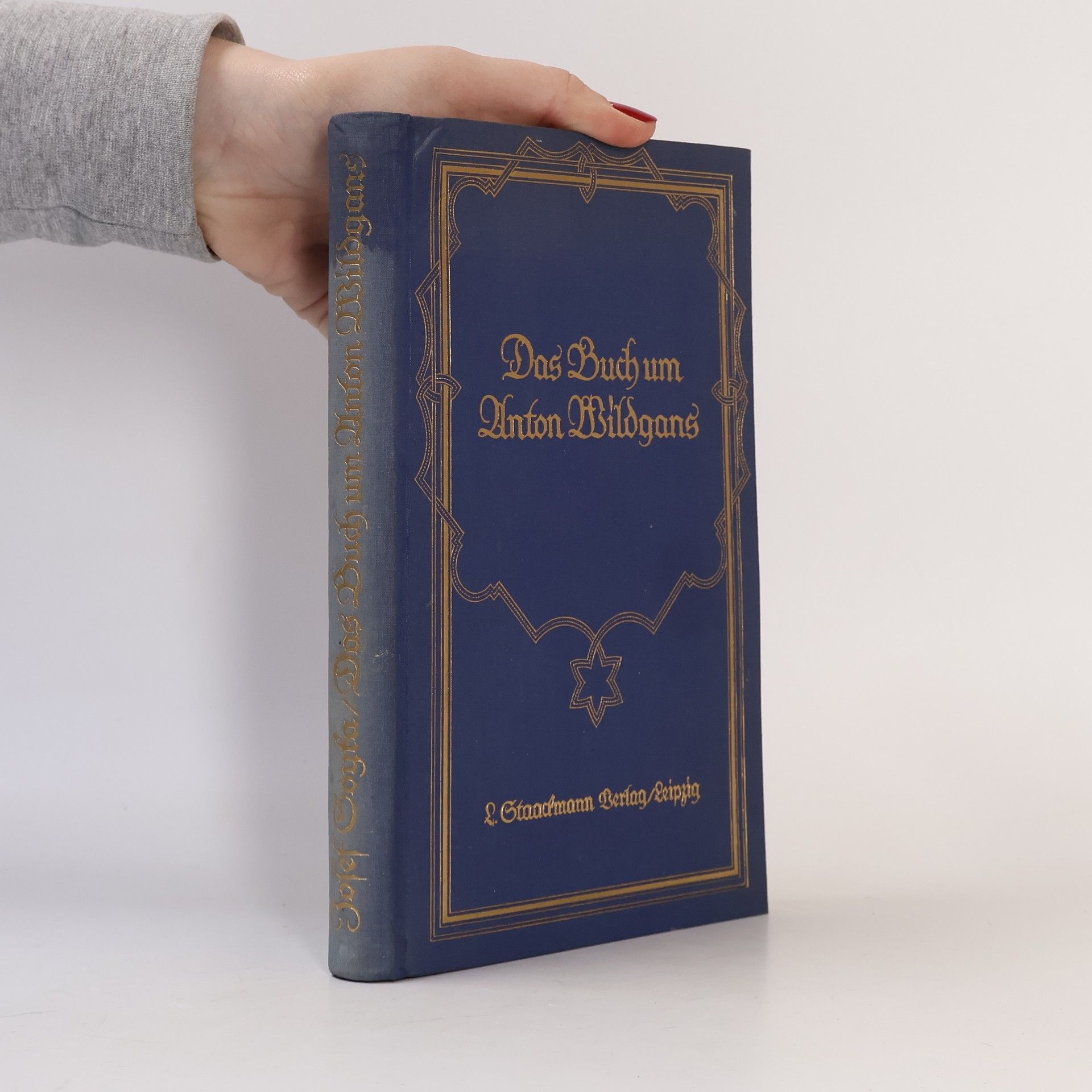 Josef Soyka Das Buch um Anton Wildgans