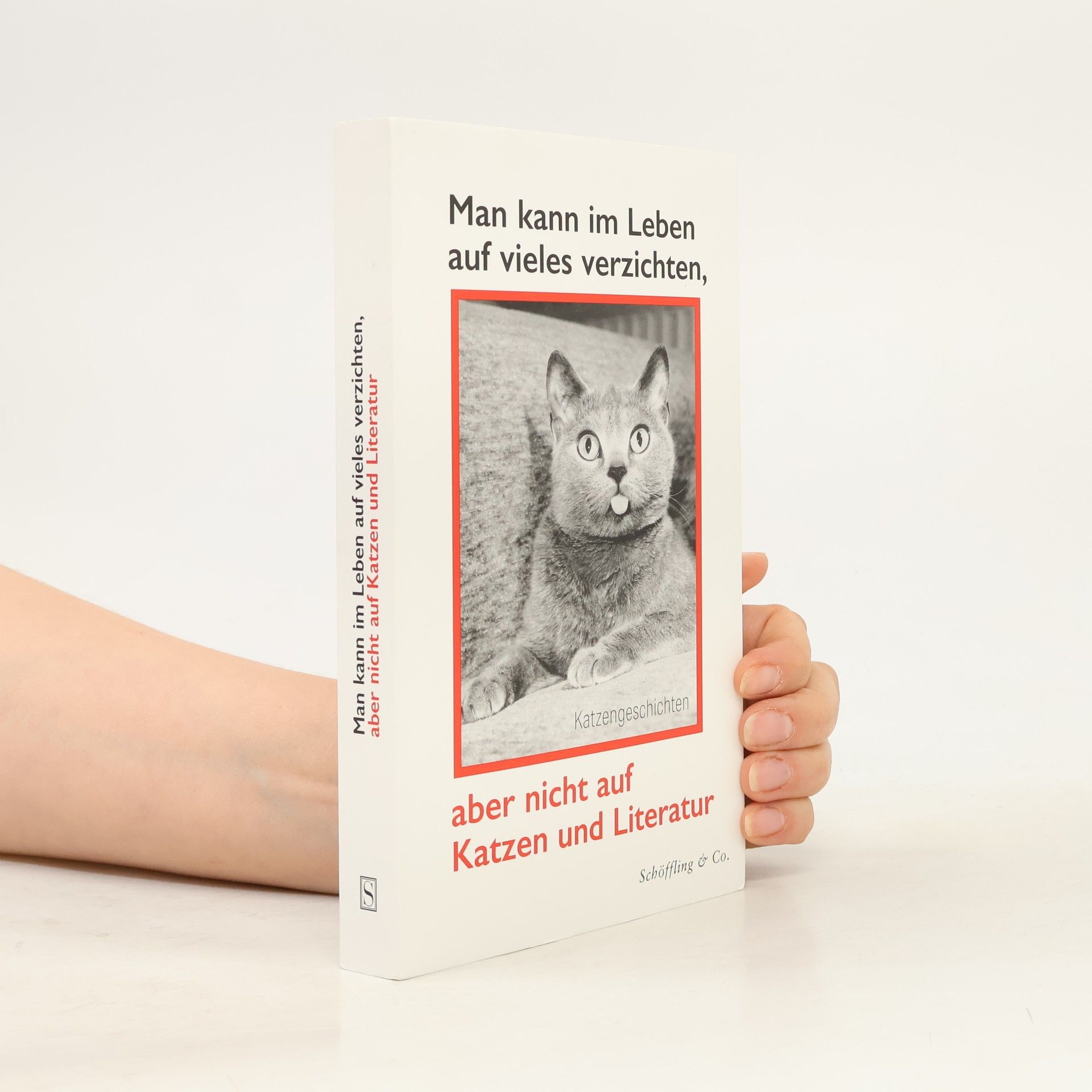 Autorenkollektiv Man kann im Leben auf vieles verzichten, aber nicht auf Katzen und Literatur