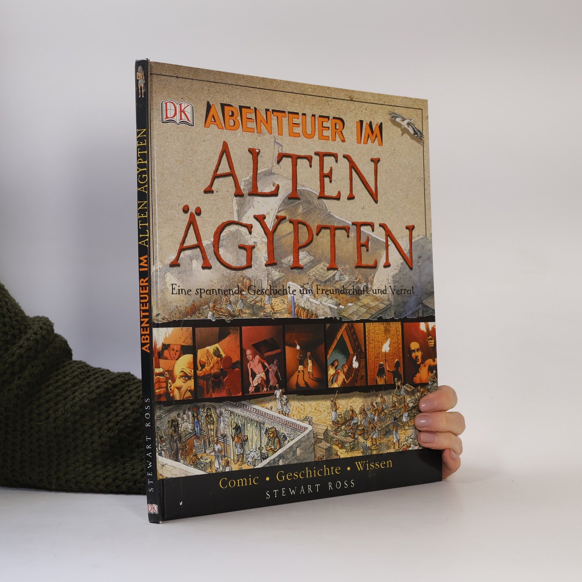Stewart Ross Abenteuer im Alten Ägypten