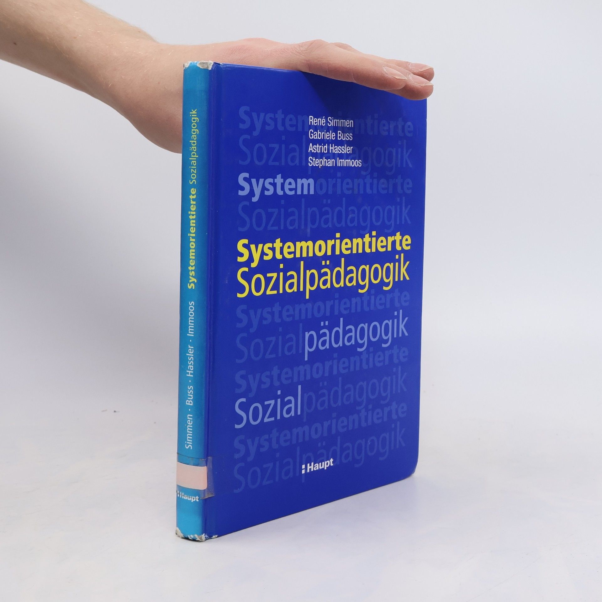 Gabriele Buss Systemorientierte Sozialpädagogik