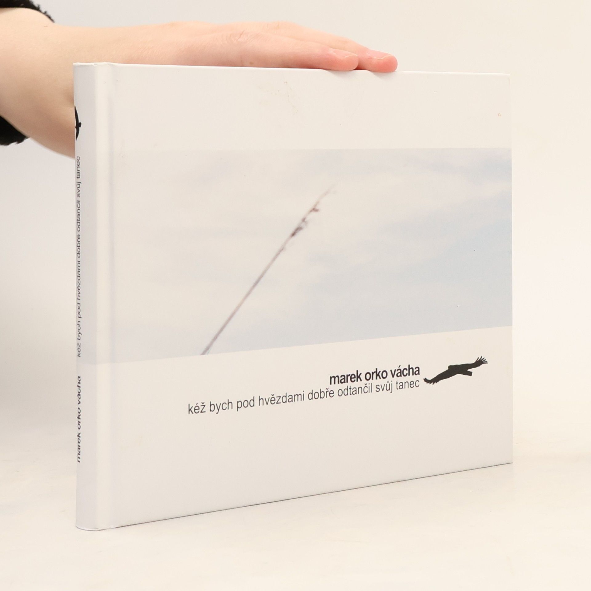 Marek Vácha Kéž bych pod hvězdami dobře odtančil svůj tanec