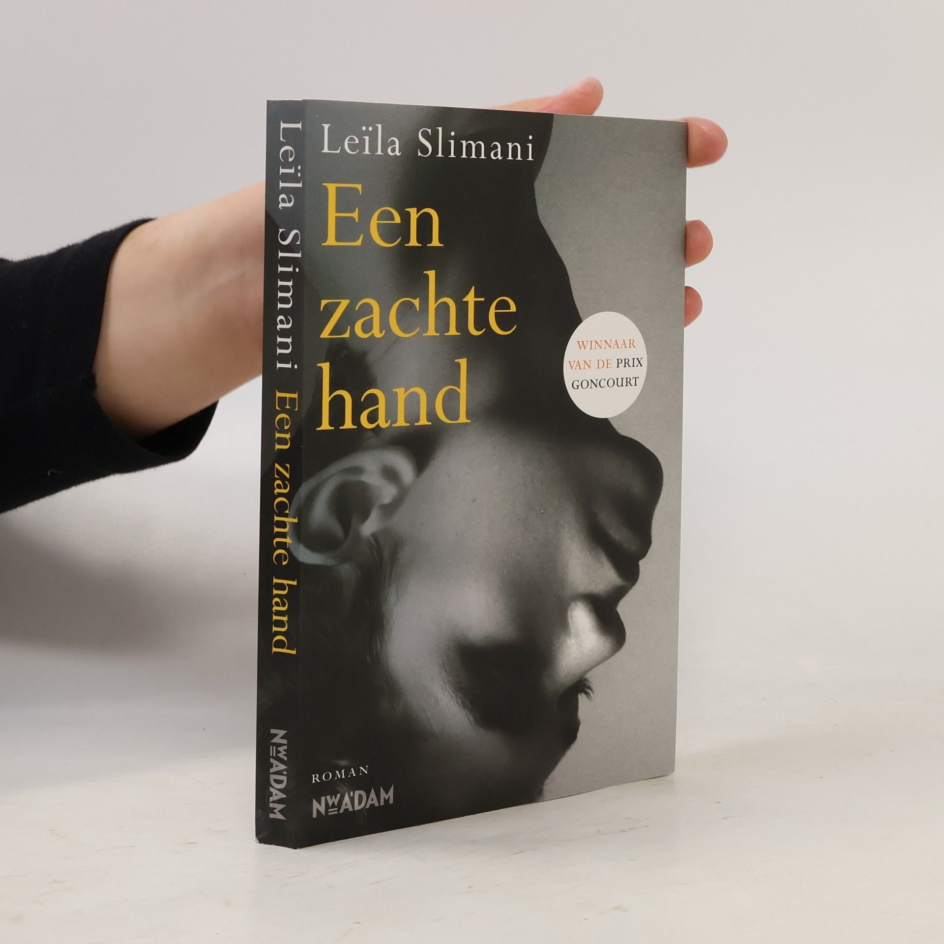 Leïla Slimani Een zachte hand