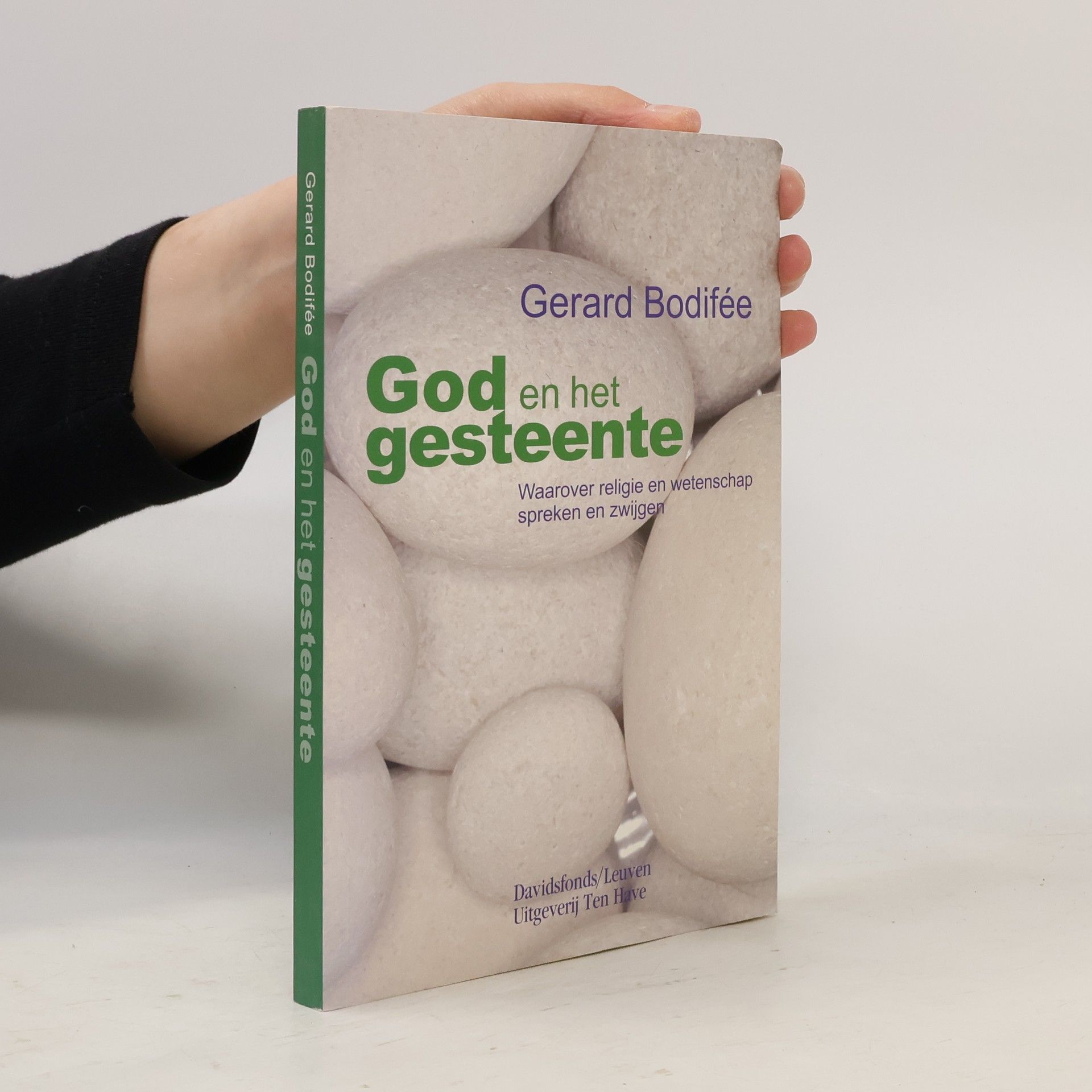 Gerard Bodifée God en het gesteente