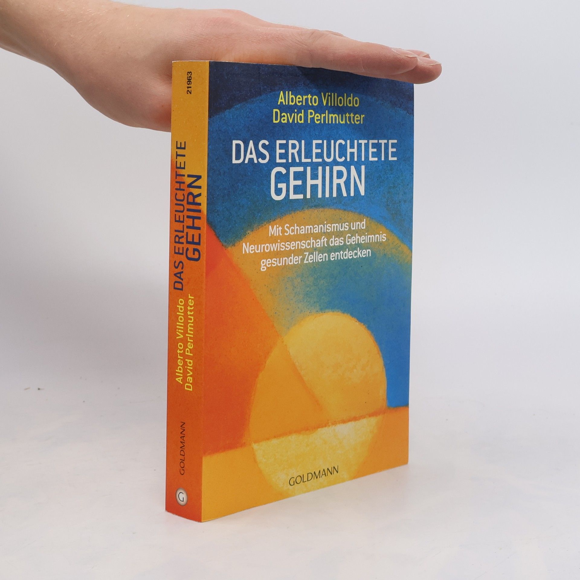 Alberto Villoldo Das erleuchtete Gehirn