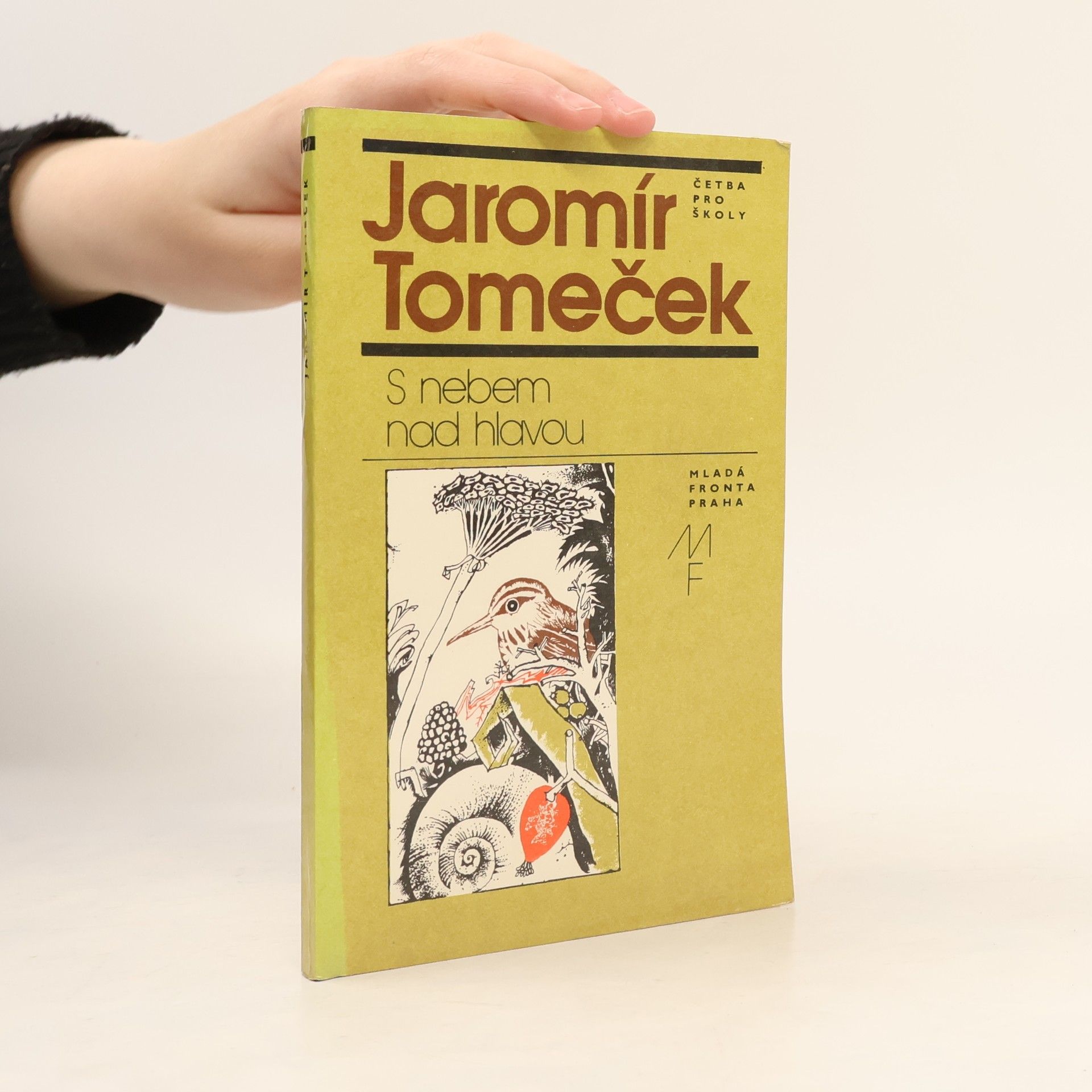 Jaromír Tomeček S nebem nad hlavou