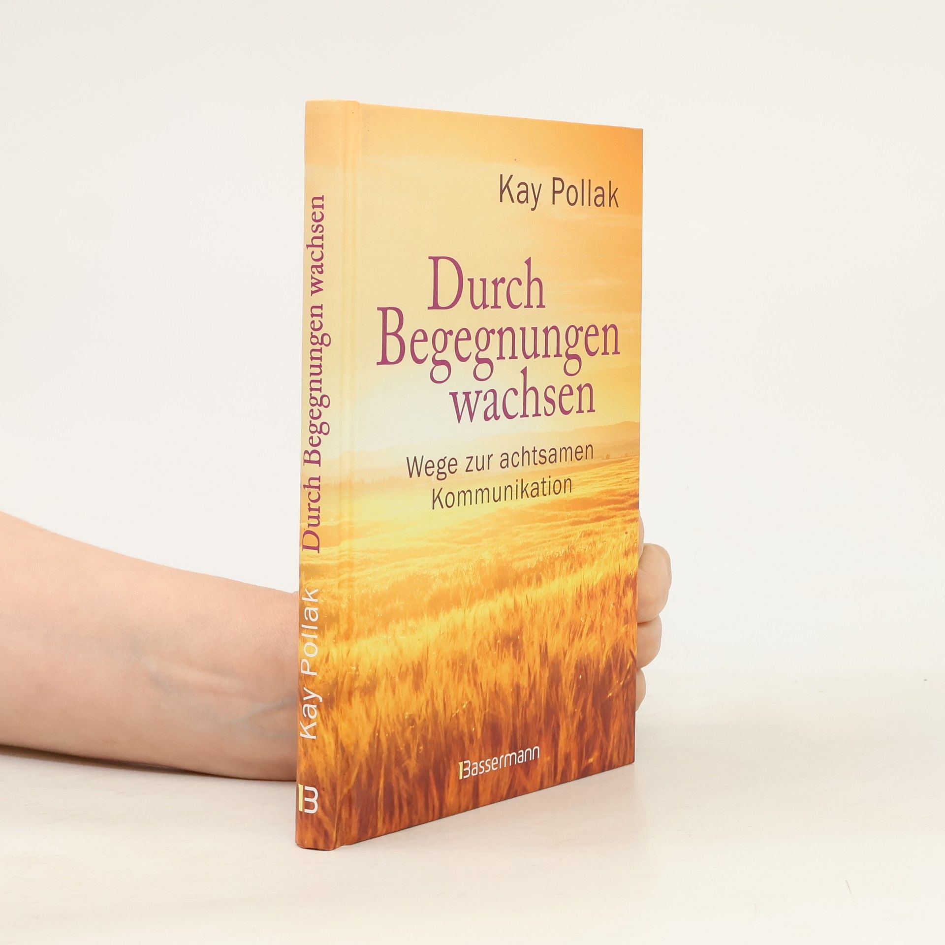 Kay Pollak Durch Begegnungen wachsen