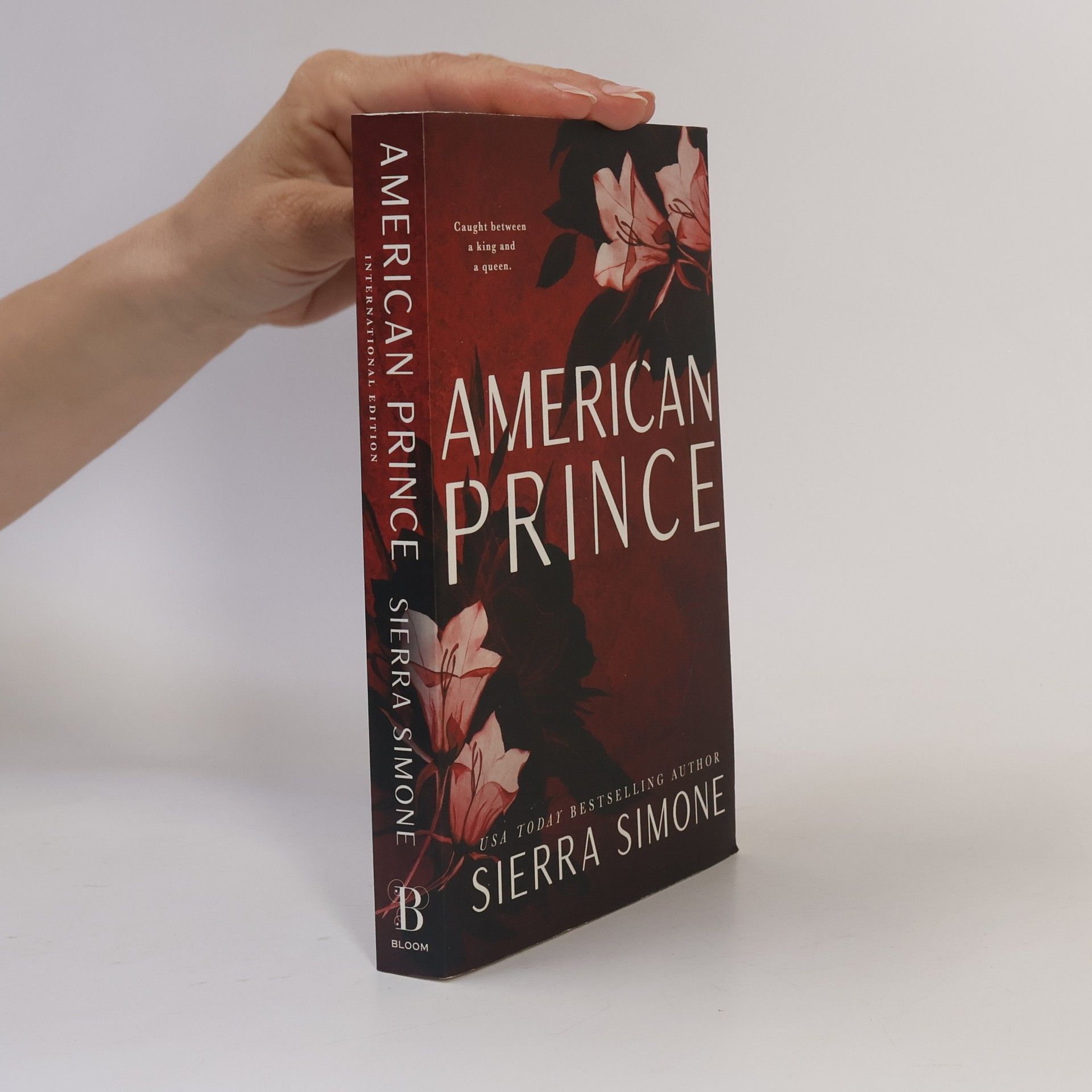 Sierra Simone American Prince