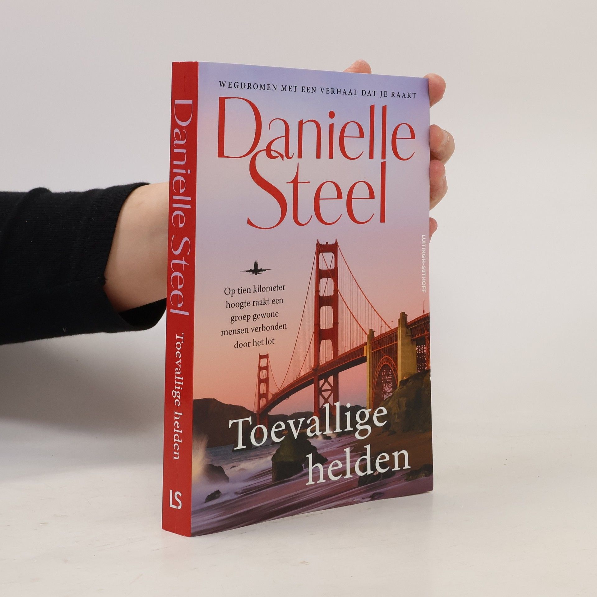 Danielle Steel Toevallige helden