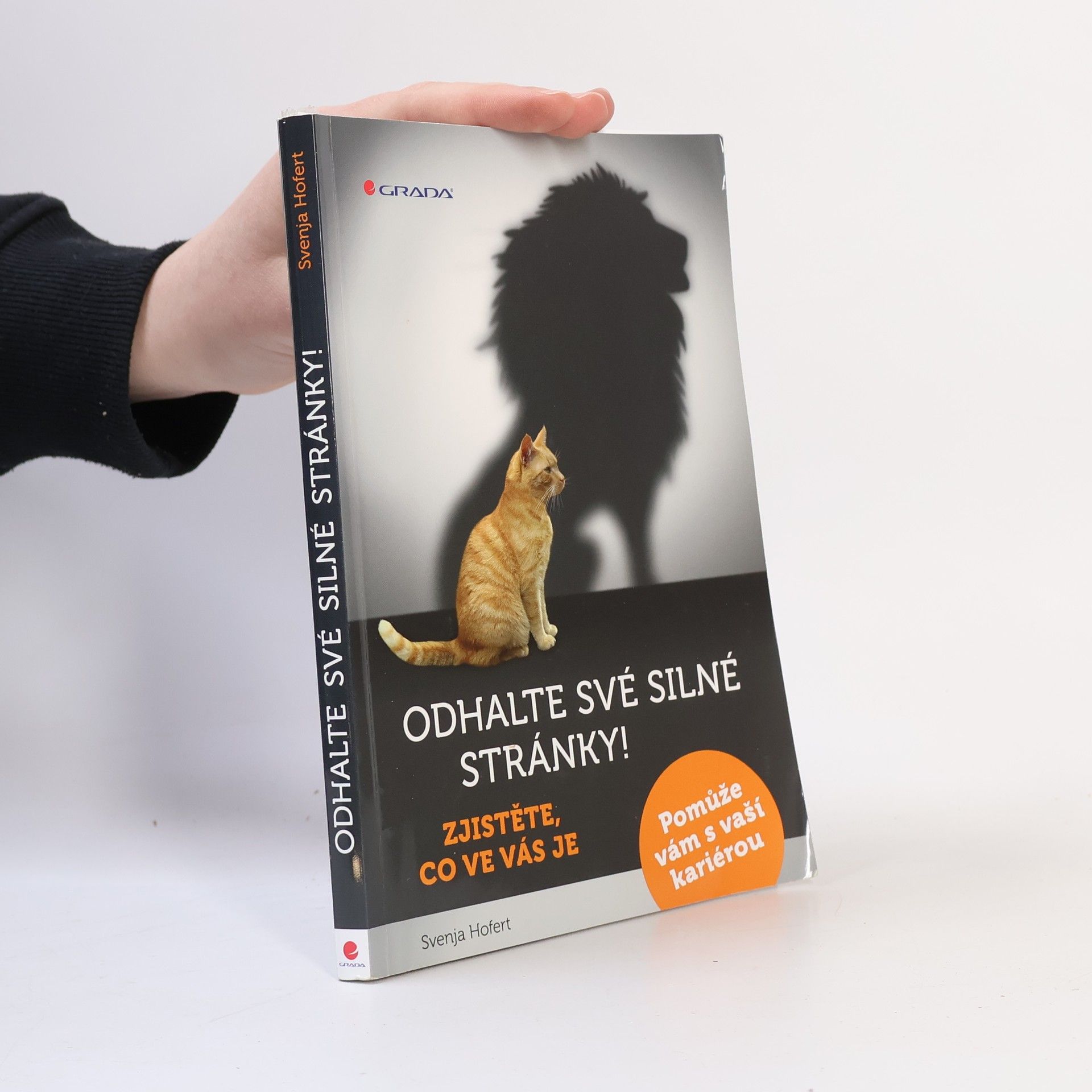 Svenja Hofert Odhalte své silné stránky! : zjistěte, co ve vás je: Pomůže vám s vaší kariérou