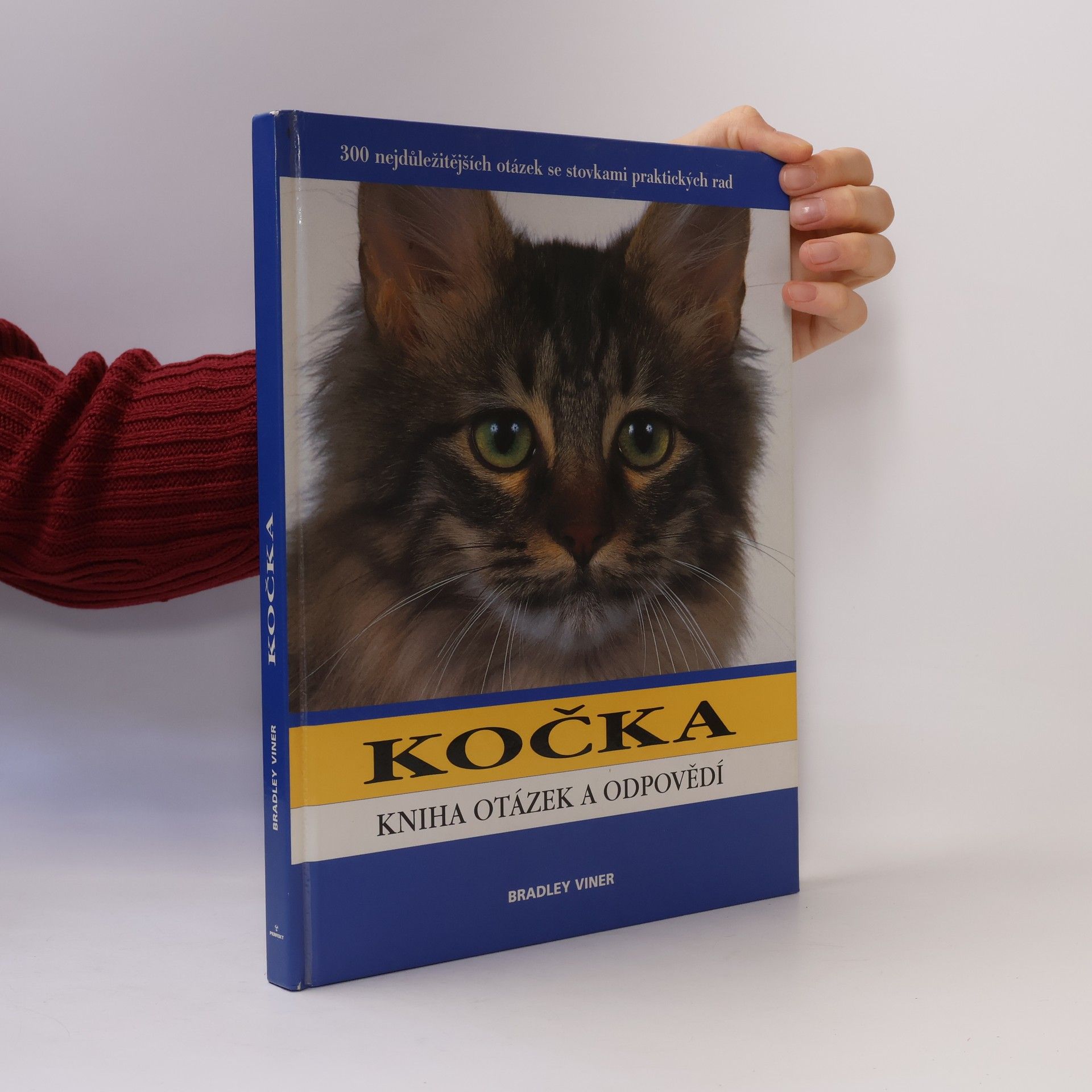 Bradley Viner Kočka. Kniha otázek a odpovědí