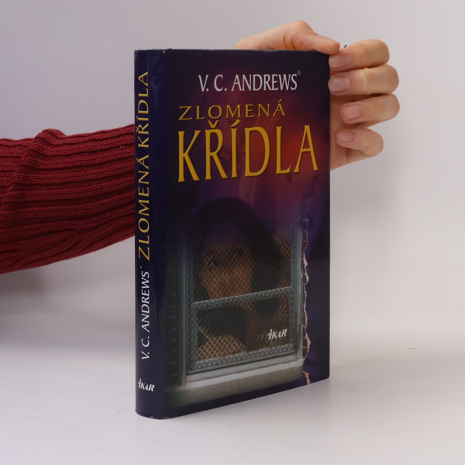 Virginia Cleo Andrews Zlomená křídla