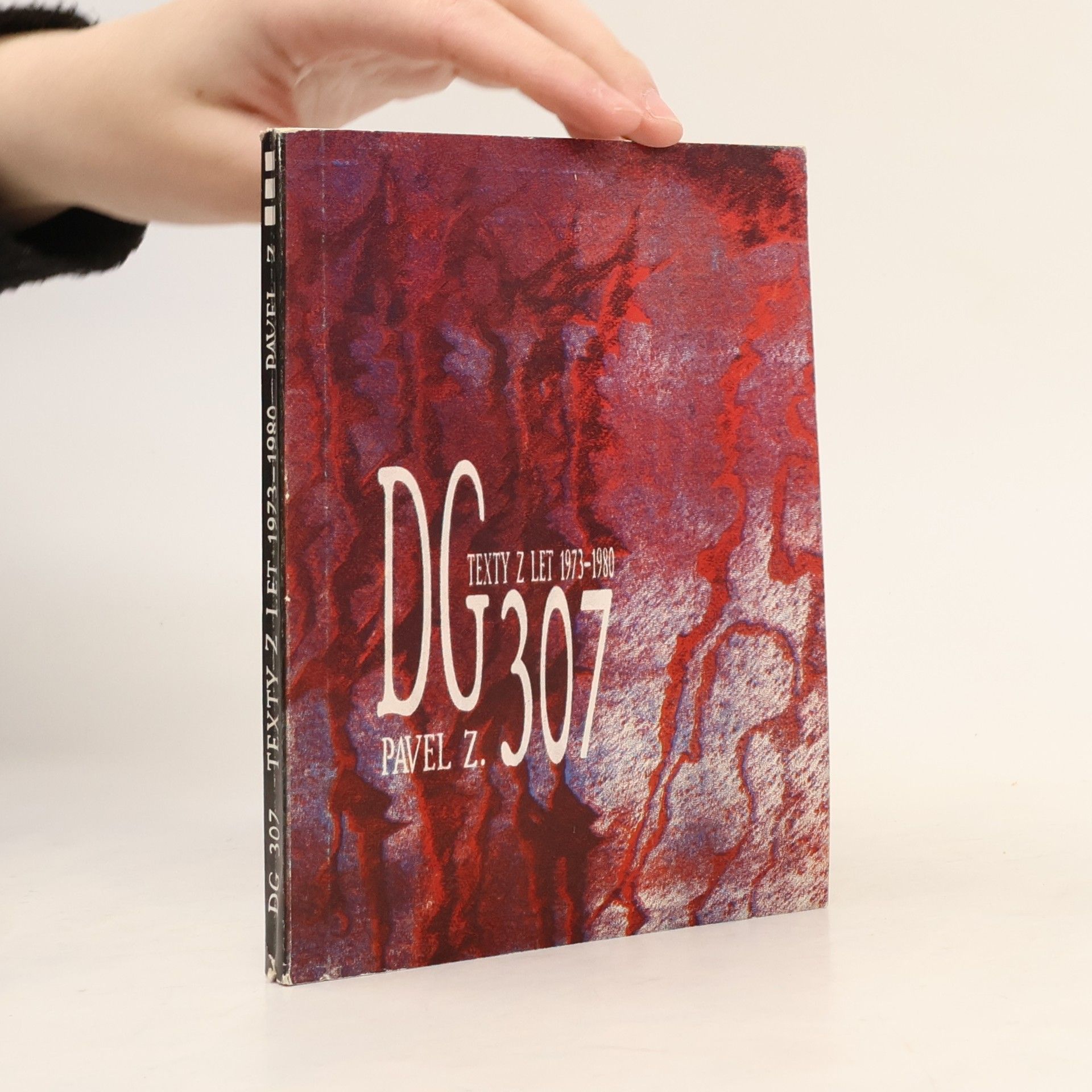 Pavel Zajíček DG 307 (texty z let 1973-1980)