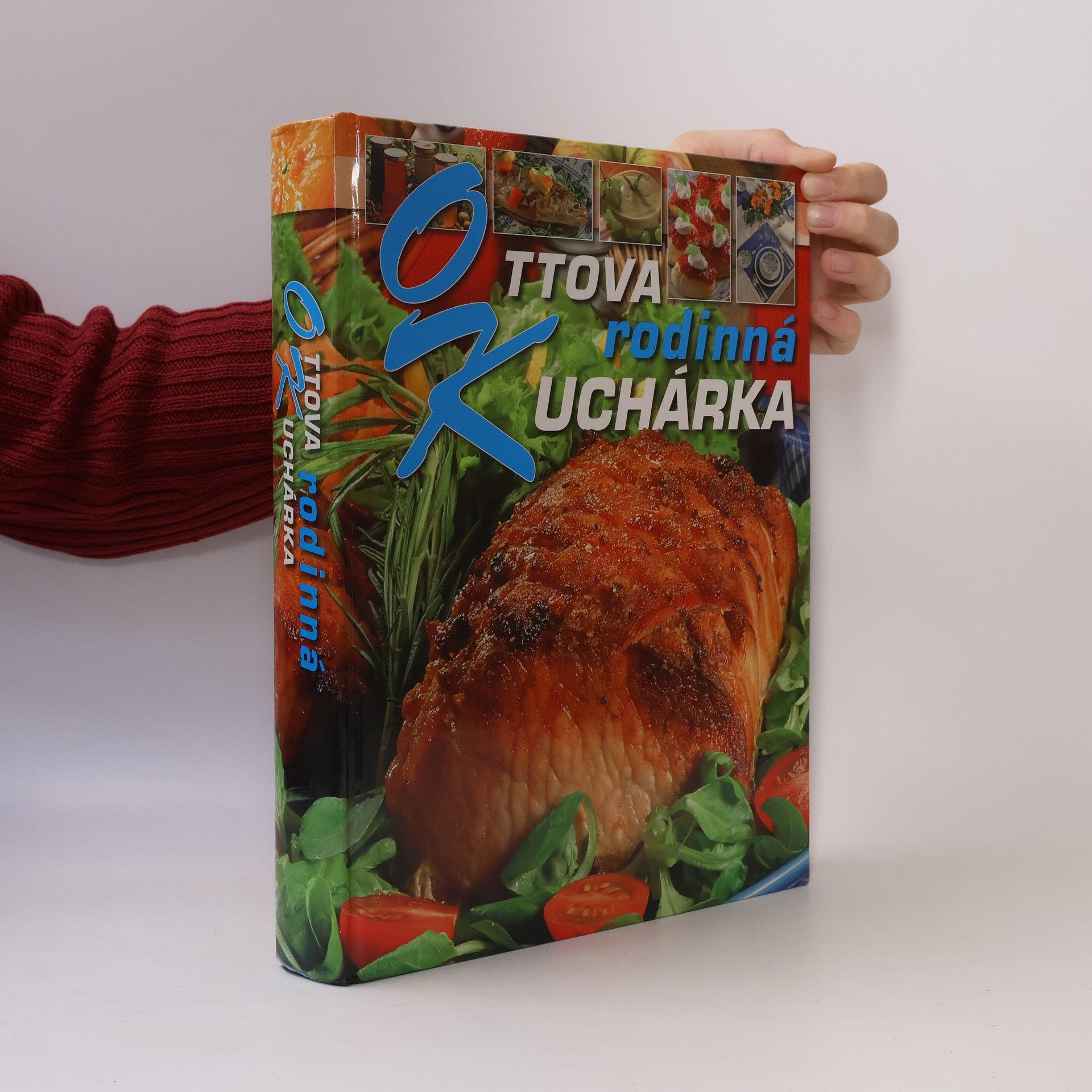 Kolektív autorov Ottova rodinná kuchárka