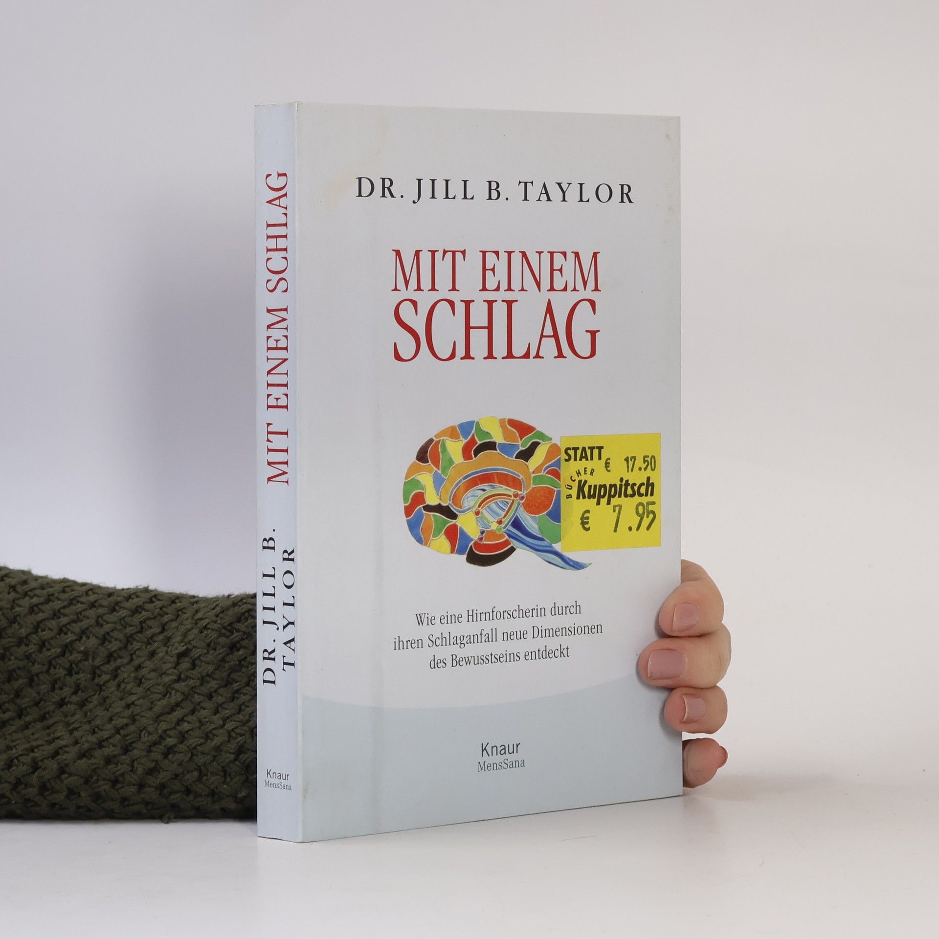Jill Bolte Taylor Mit einem Schlag