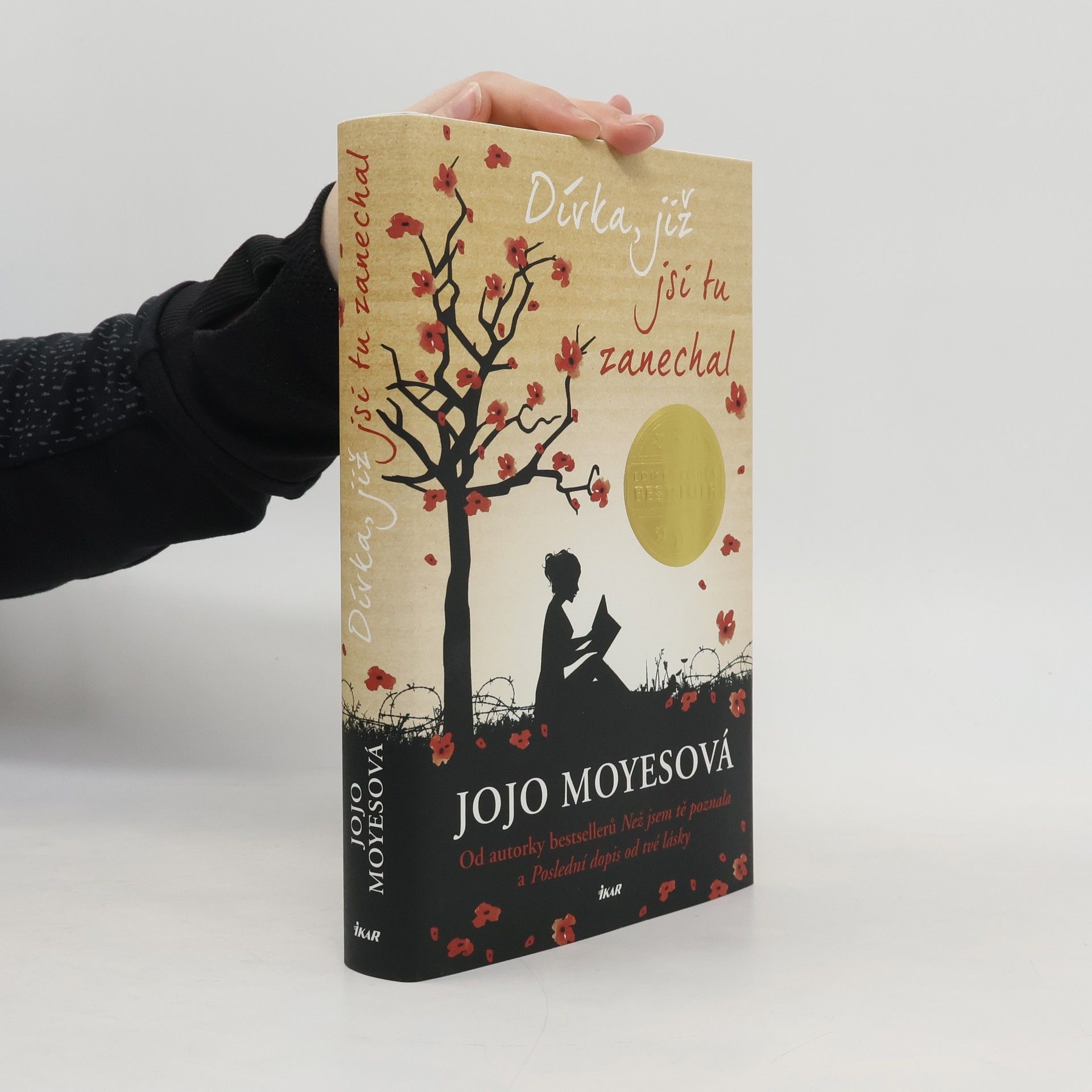 Jojo Moyes Dívka, již jsi tu zanechal