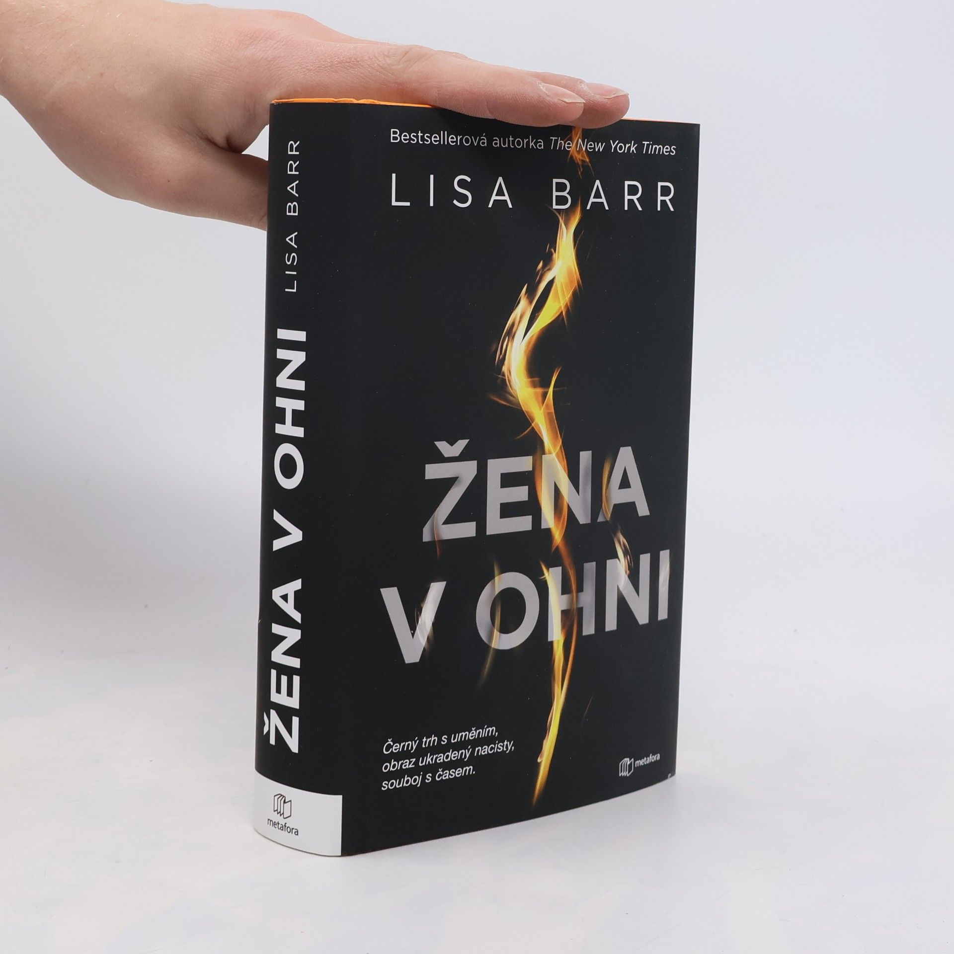 Lisa Barr Žena v ohni