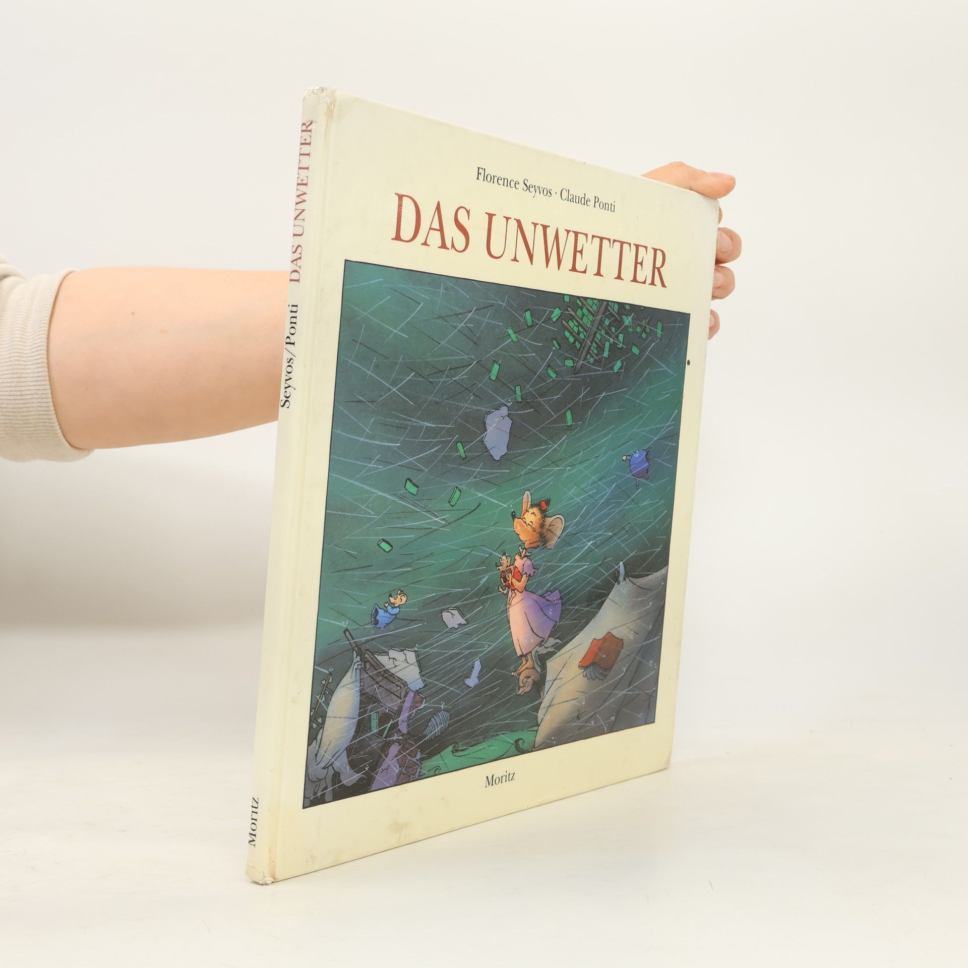 Florence Seyvos Das Unwetter