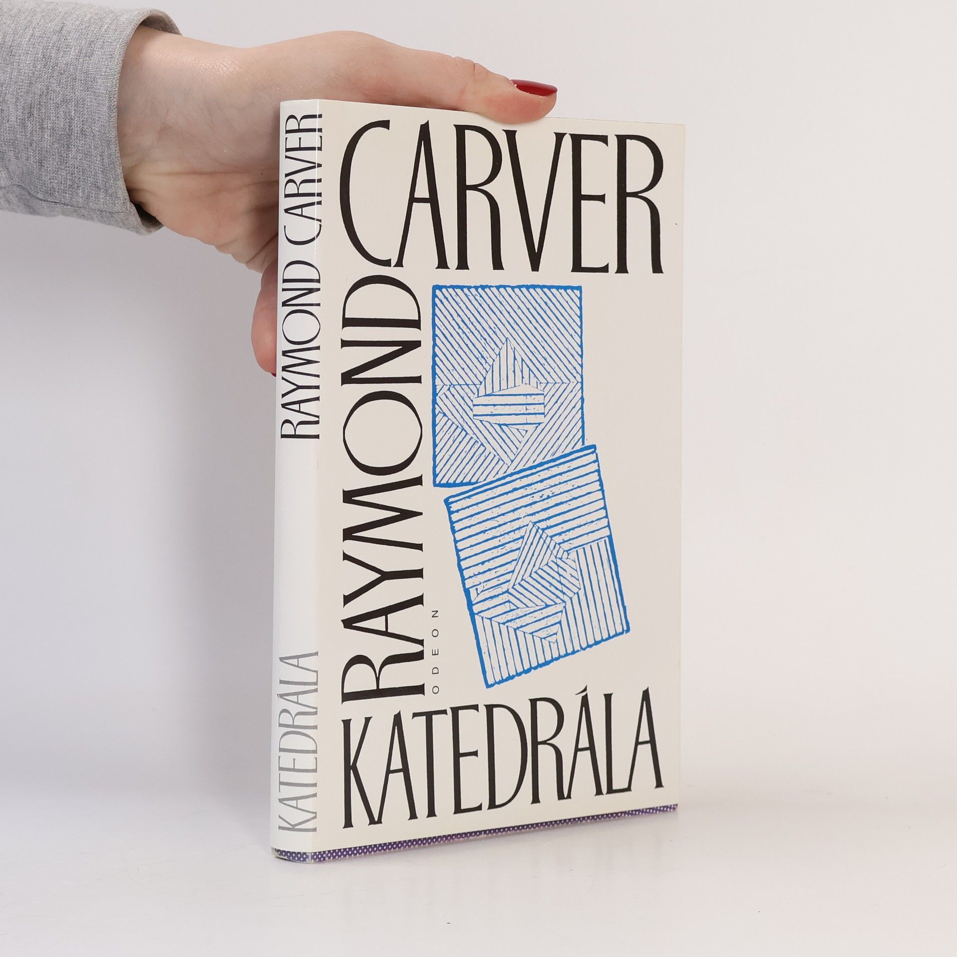 Raymond Carver Katedrála (a jiné povídky)