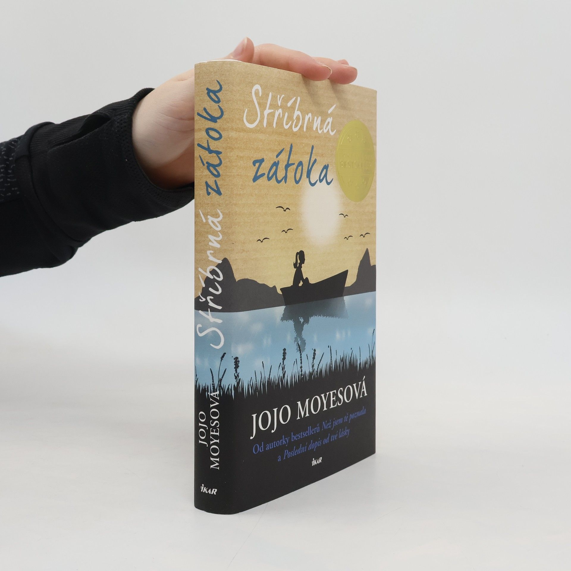 Jojo Moyes Stříbrná zátoka
