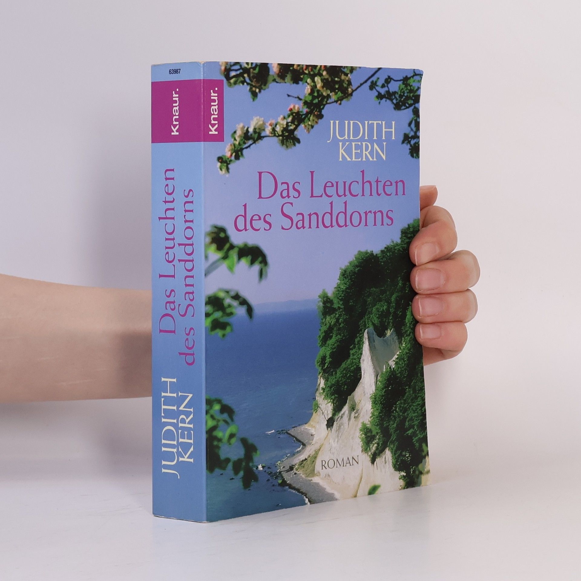 Judith Kern Das Leuchten des Sanddorns