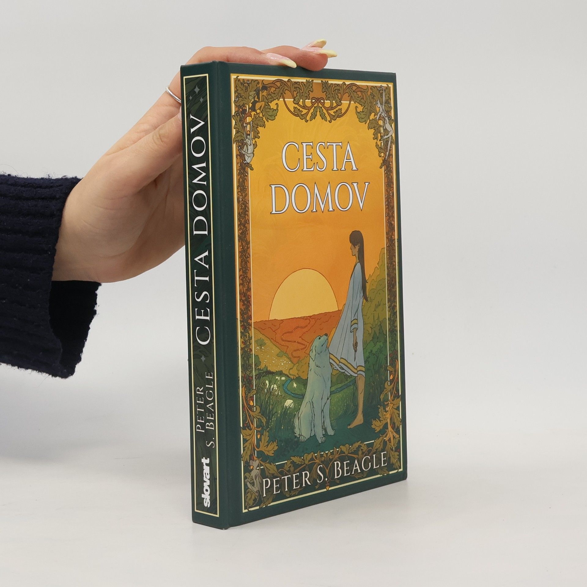 Peter S. Beagle Cesta domov