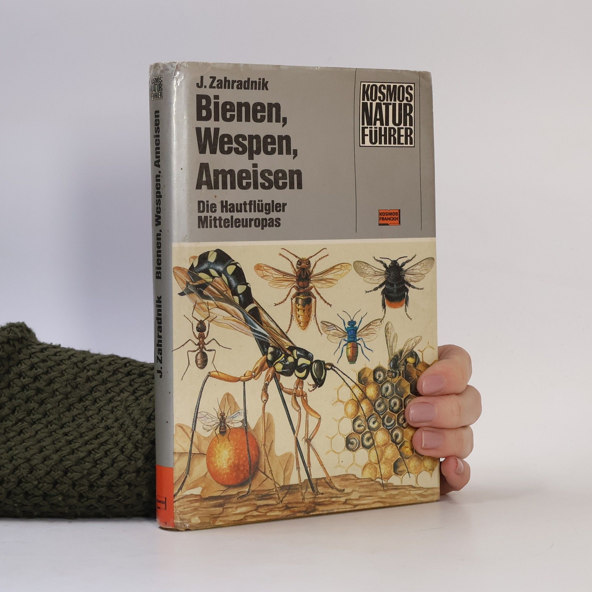 Jiří Zahradník Bienen, Wespen, Ameisen