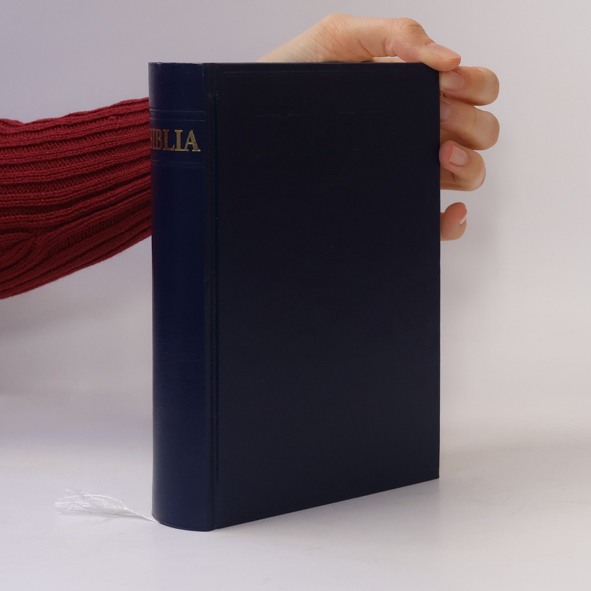 Gustave Doré Biblia