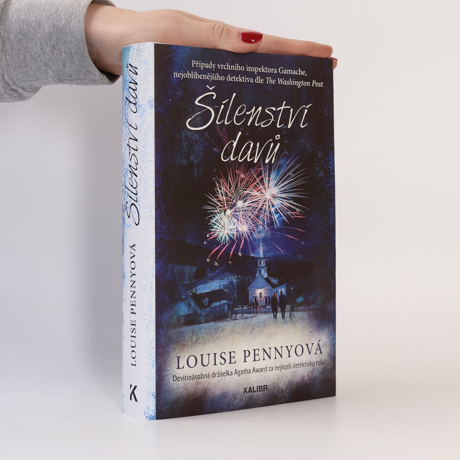 Louise Penny Šílenství davů