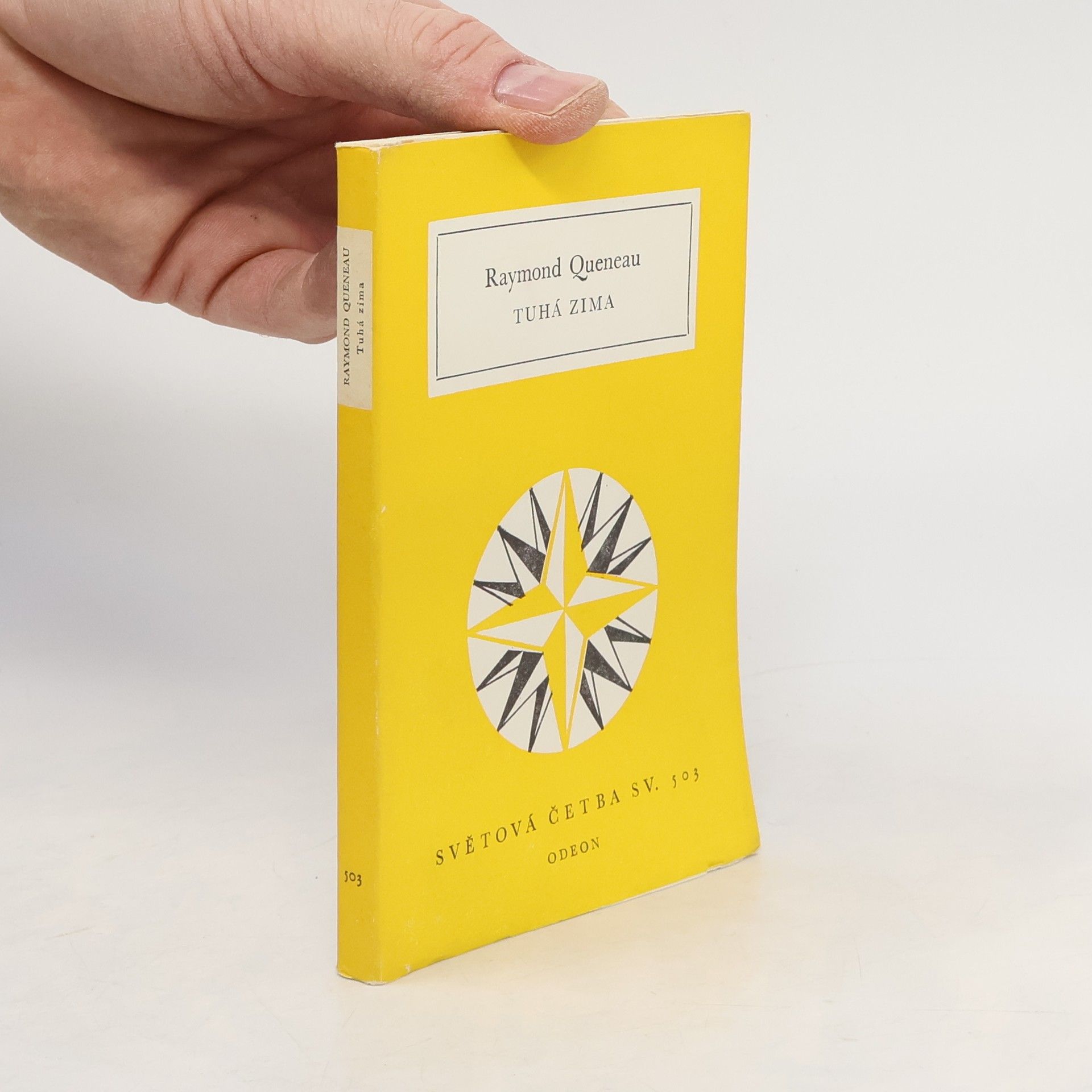 Raymond Queneau Tuhá zima