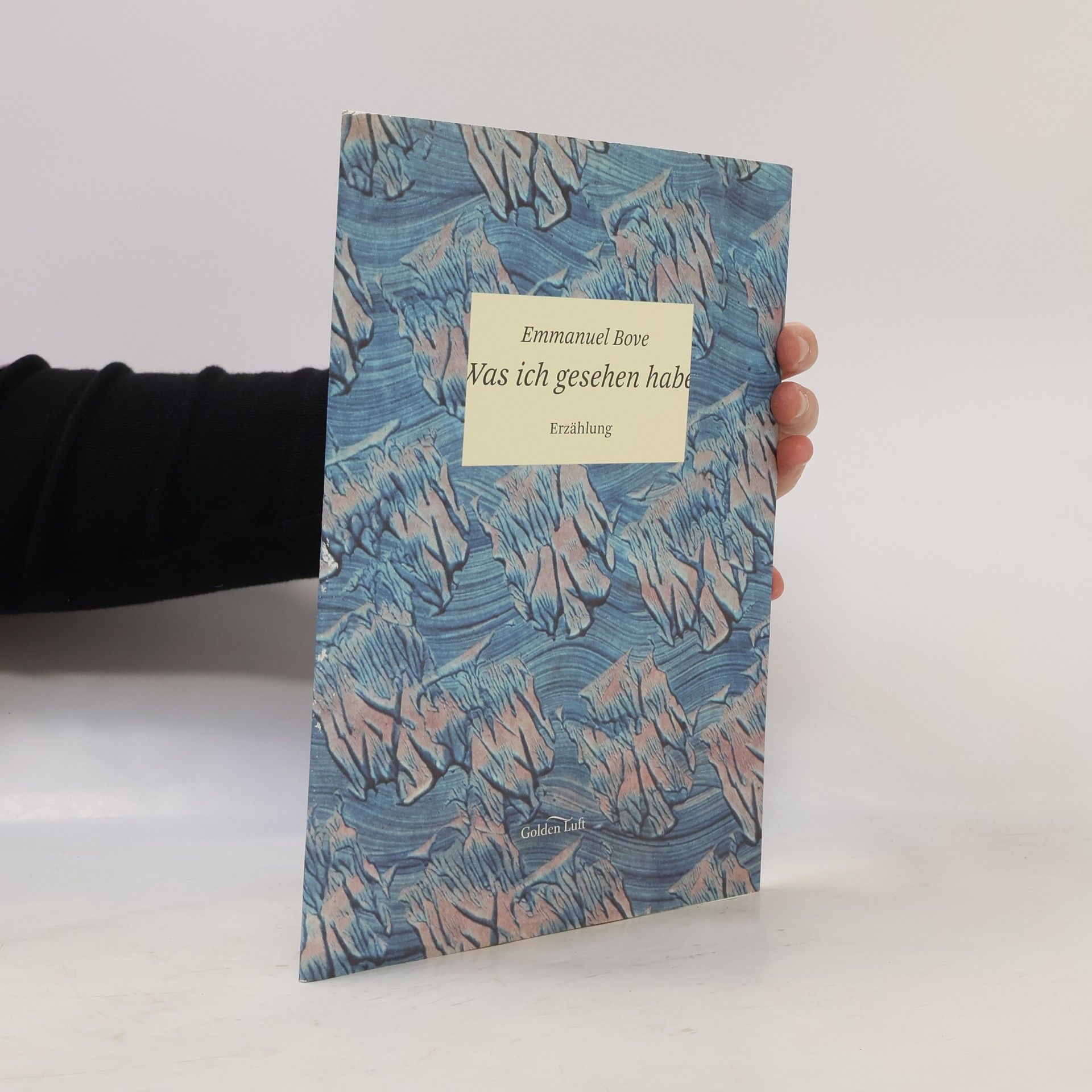 Helke Voß-Becher Was ich gesehen habe