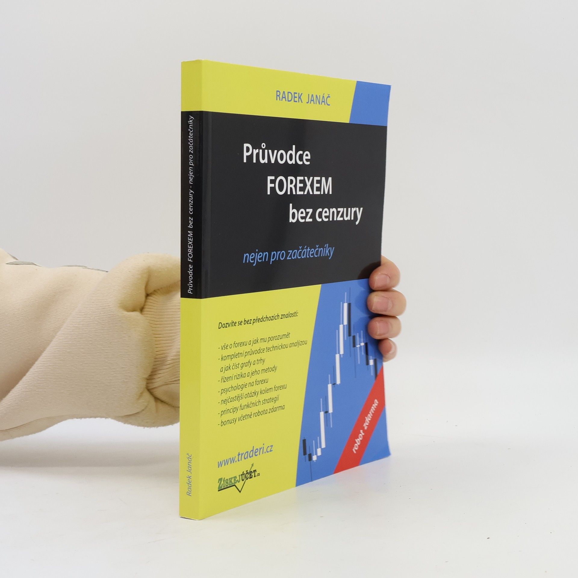 Průvodce FOREXEM bez cenzury: nejen pro začátečníky