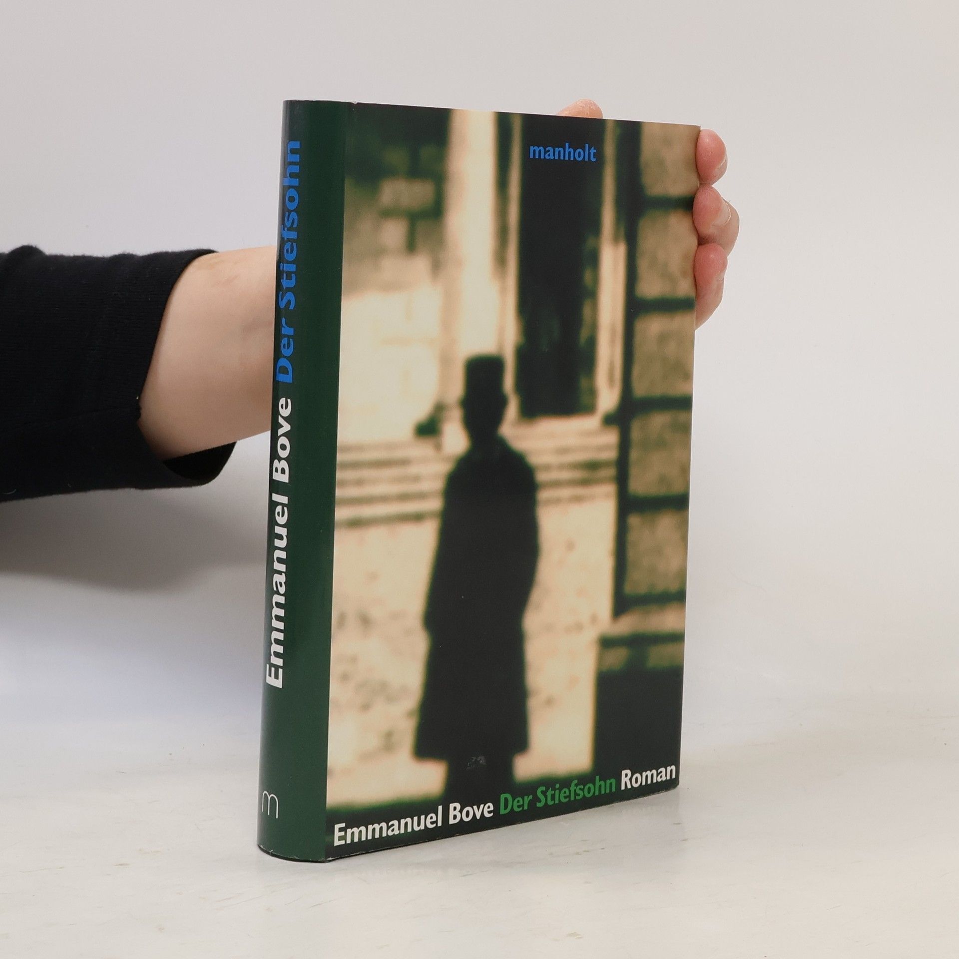 Emmanuel Bove Der Stiefsohn