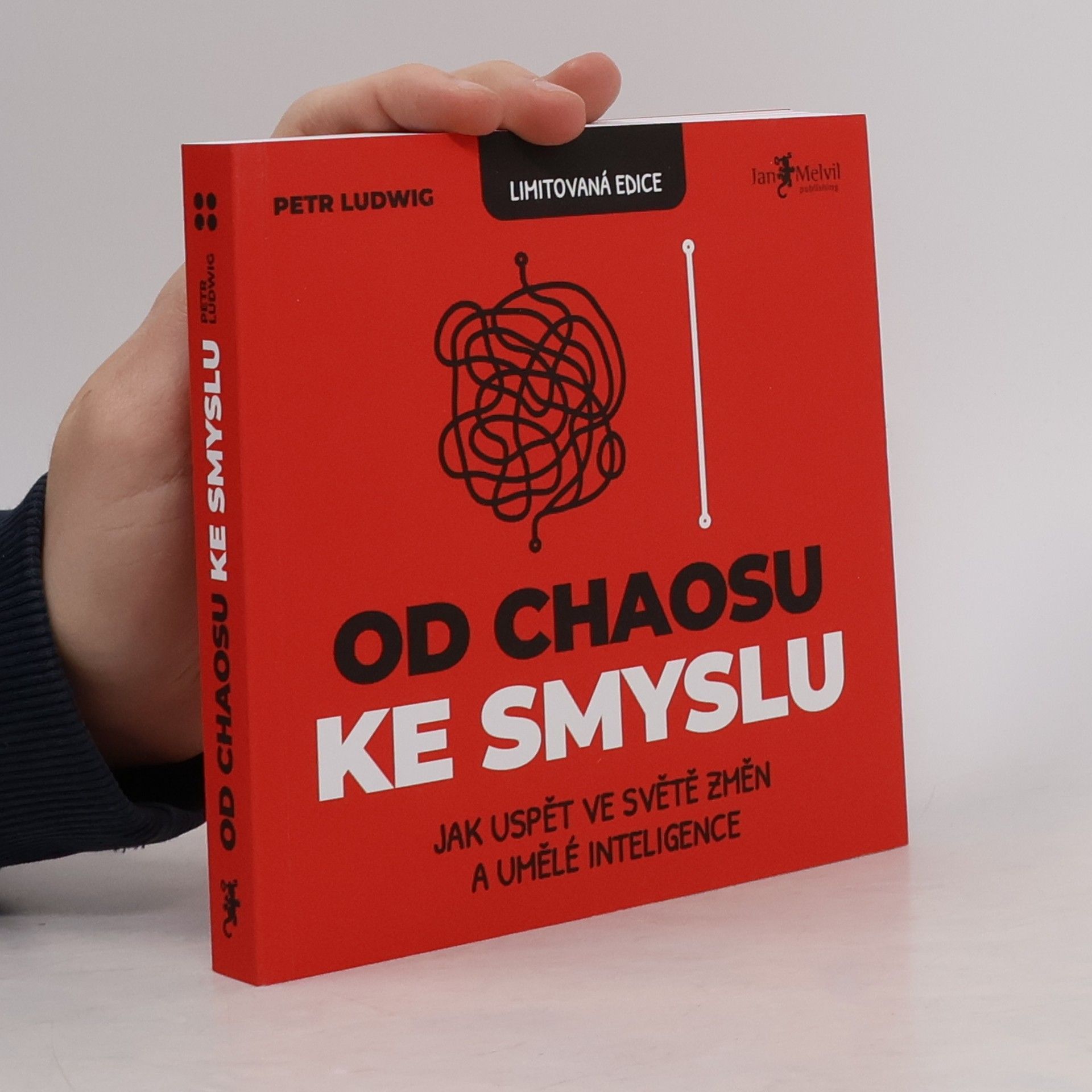 Petr Ludwig Od chaosu ke smyslu