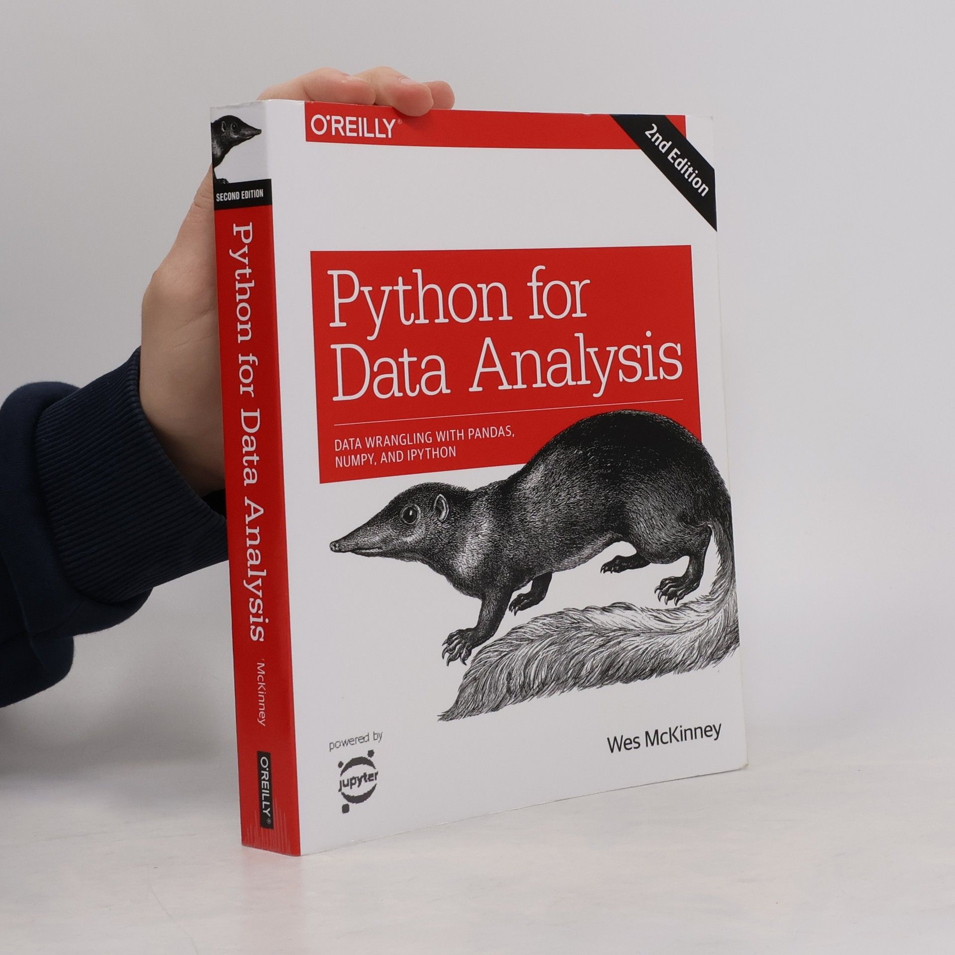 Wes McKinney Python for Data Analysis