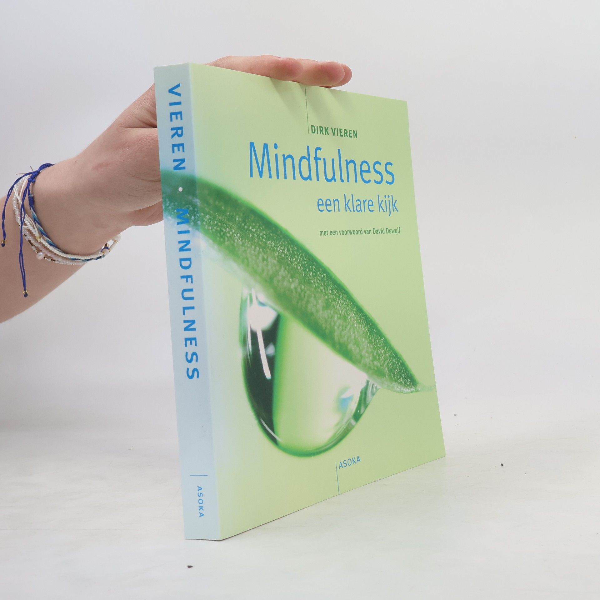 Dirk Vieren Mindfulness