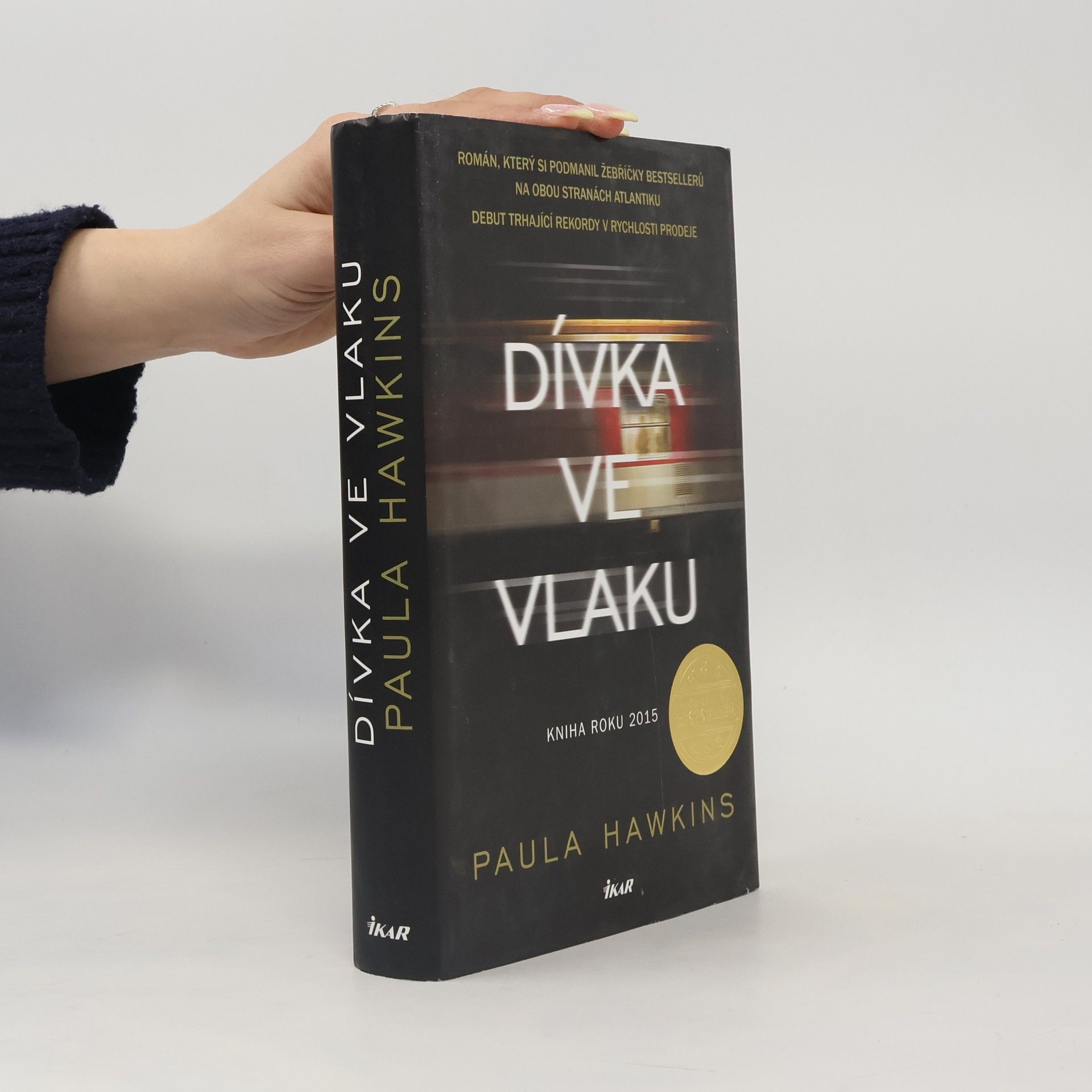 Dívka ve vlaku