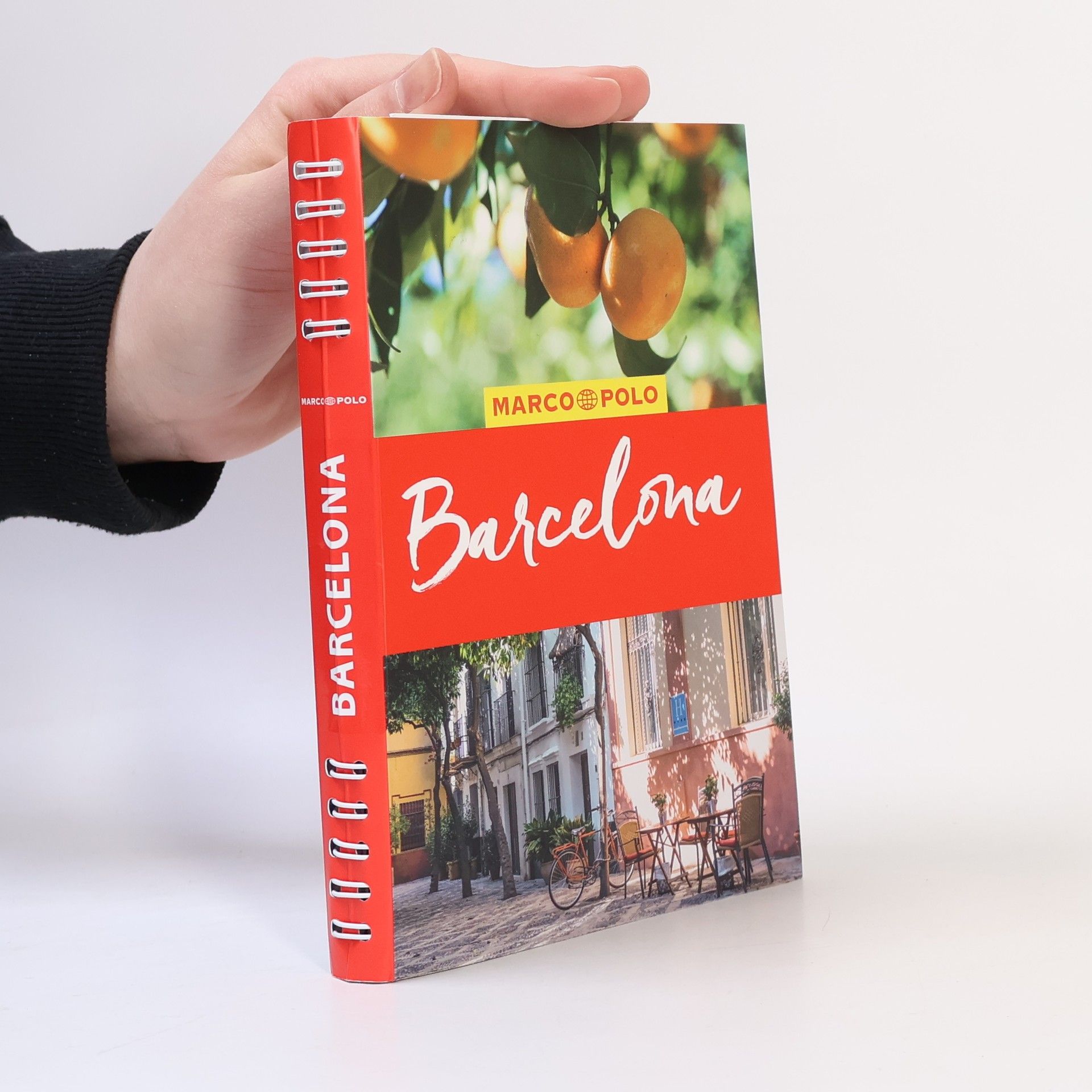 Dorothea Massmann Barcelona