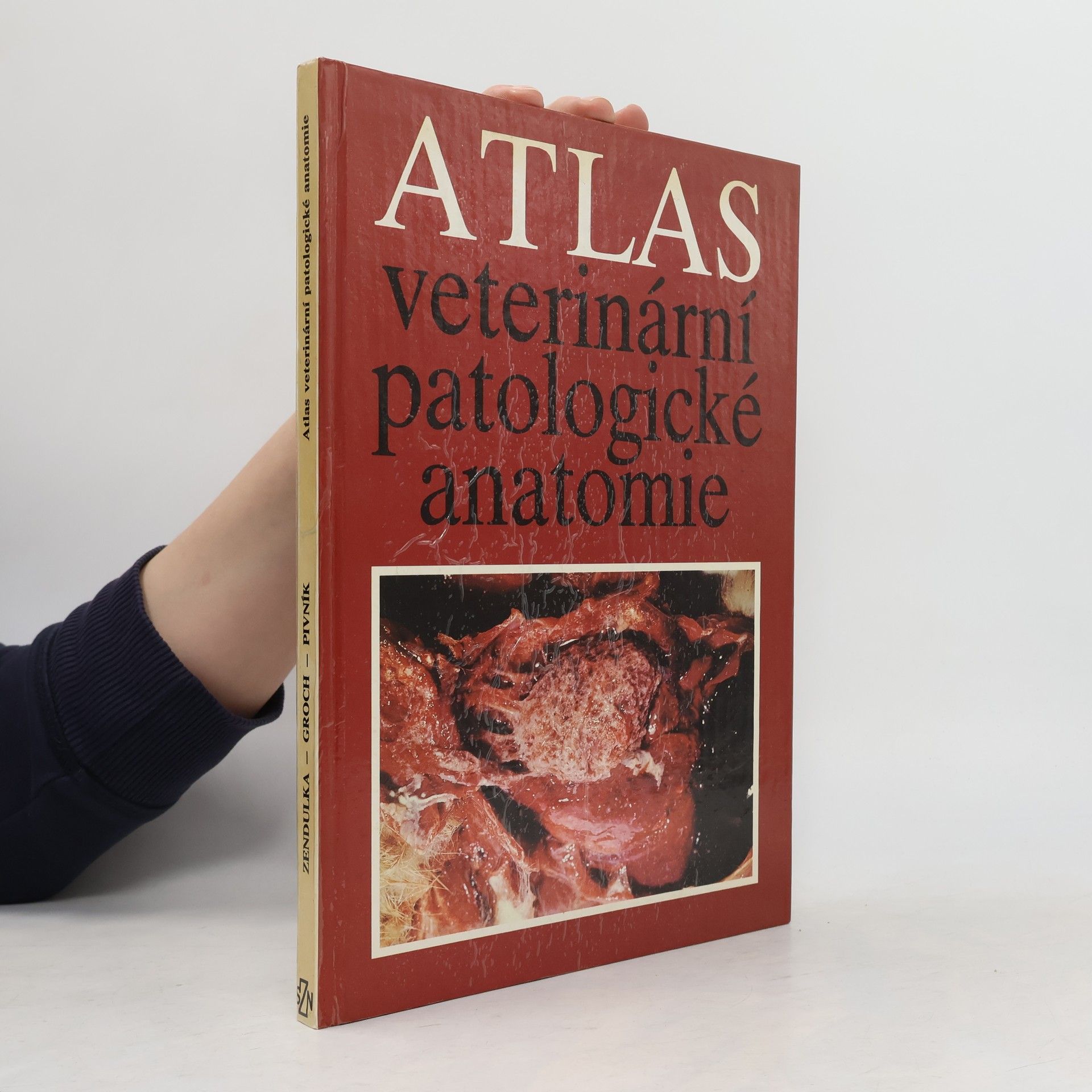 Ladislav Pivník Atlas veterinární patologické anatomie