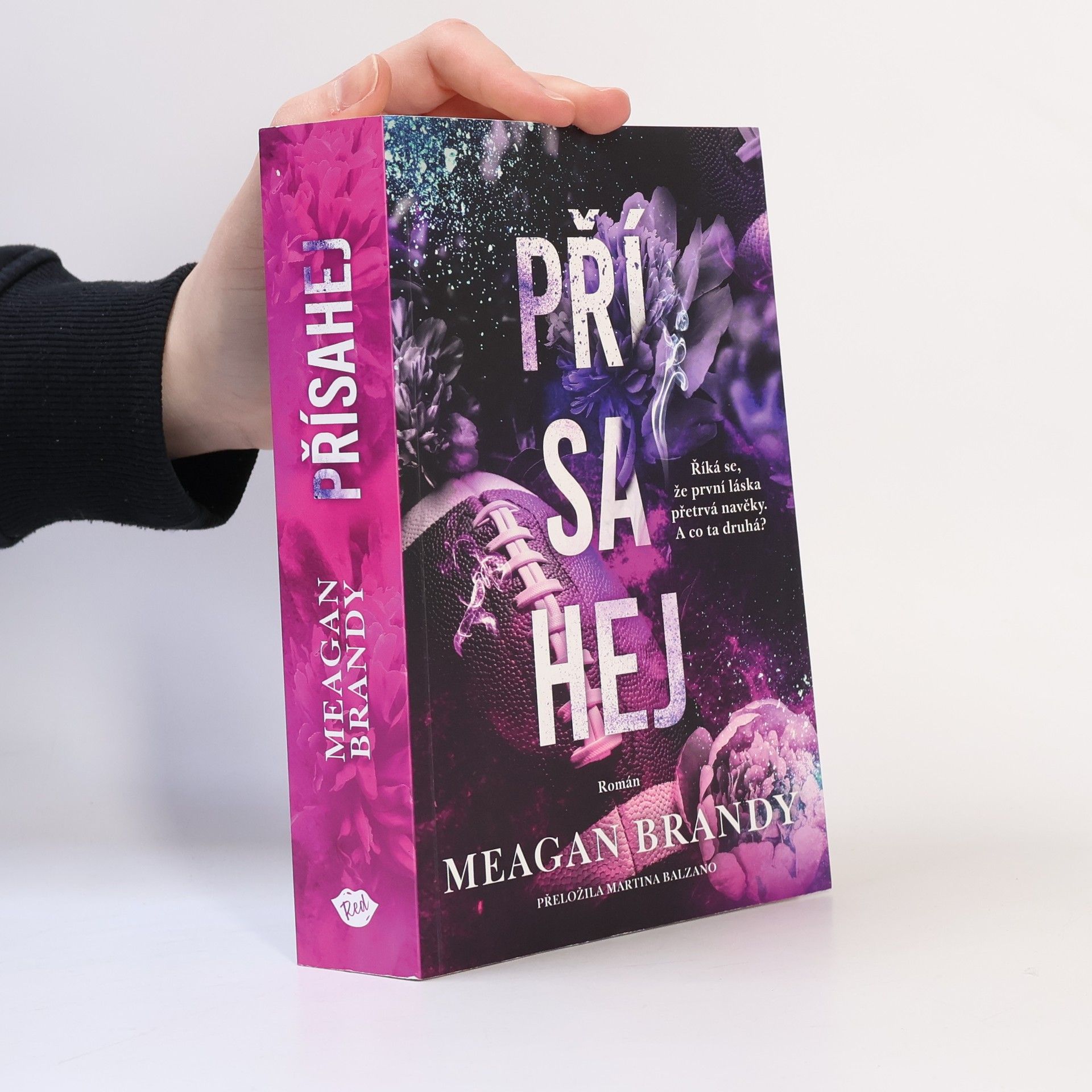 Meagan Brandy Přísahej