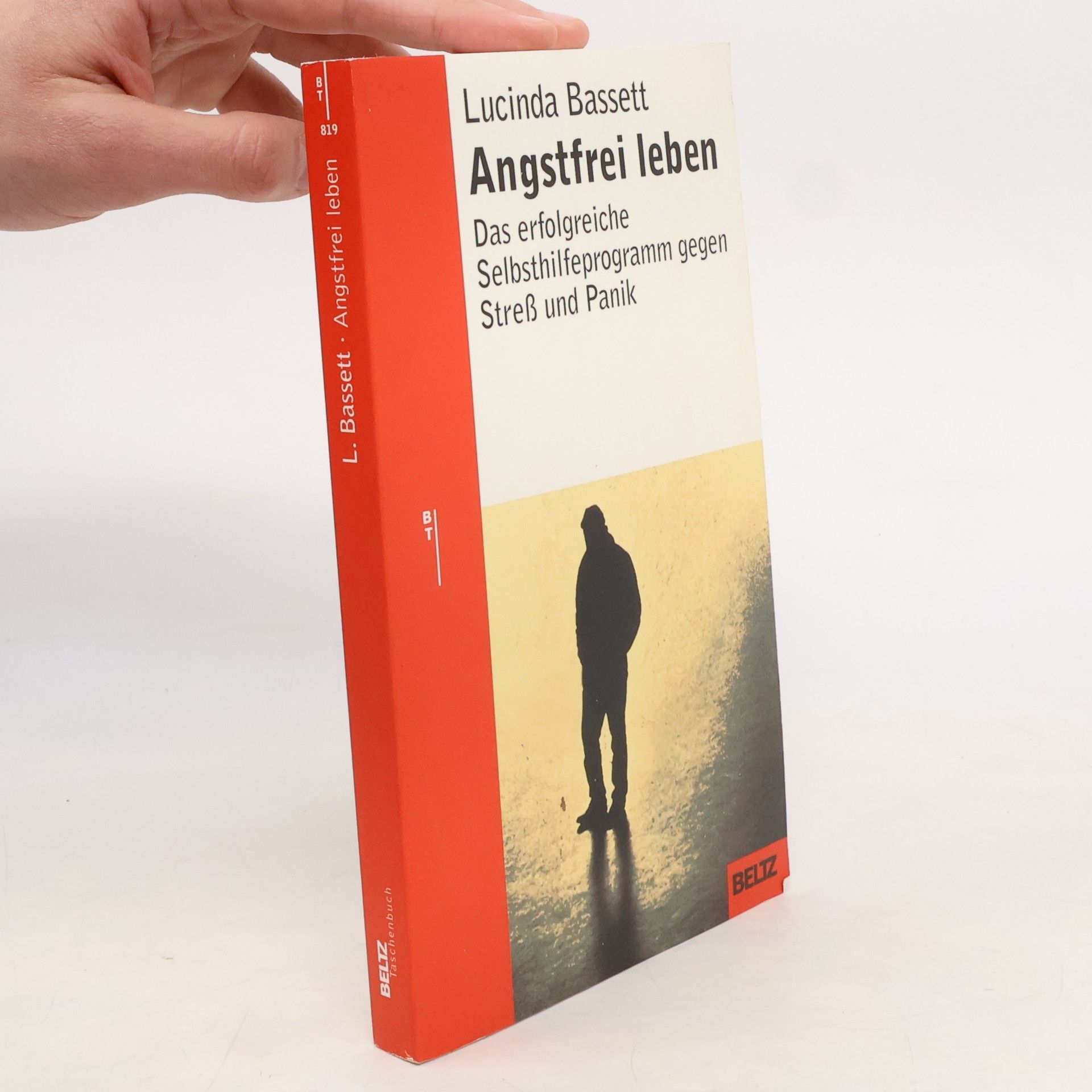 Lucinda Bassett Angstfrei leben