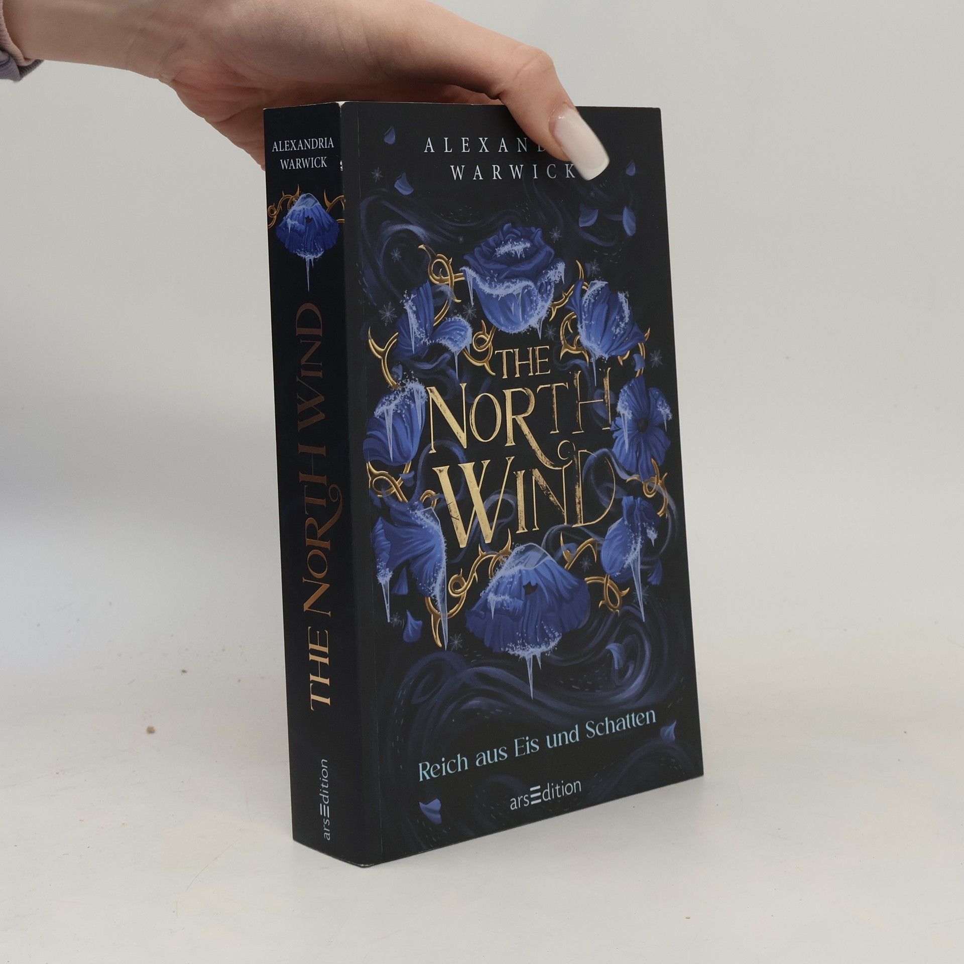 Alexandria Warwick The North Wind - Reich aus Eis und Schatten
